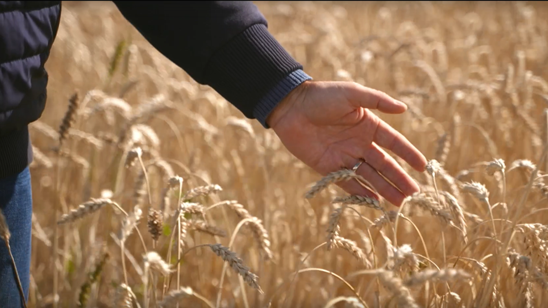 Фильм для Министерства сельского хозяйства 2024