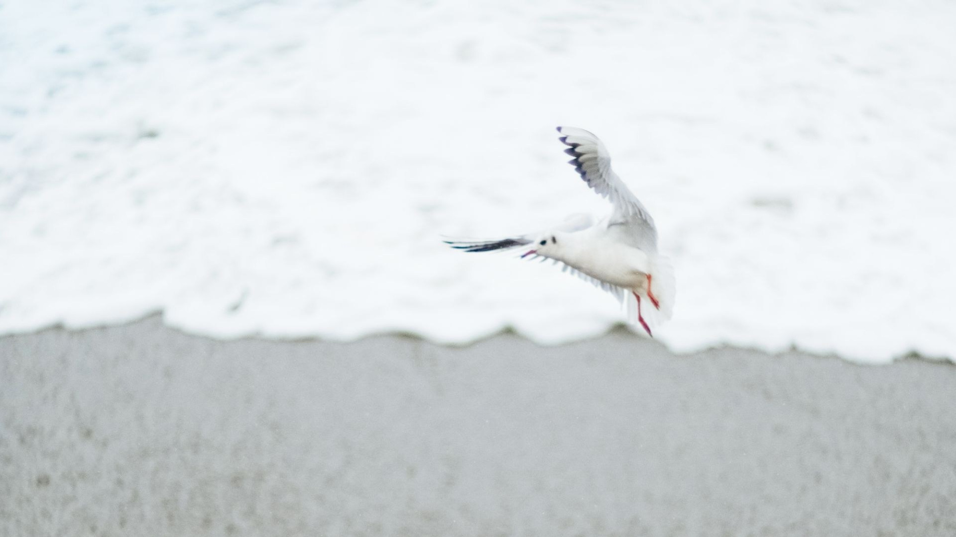 Семейные фильмы. Свадебный Видеограф Фотограф в Сочи