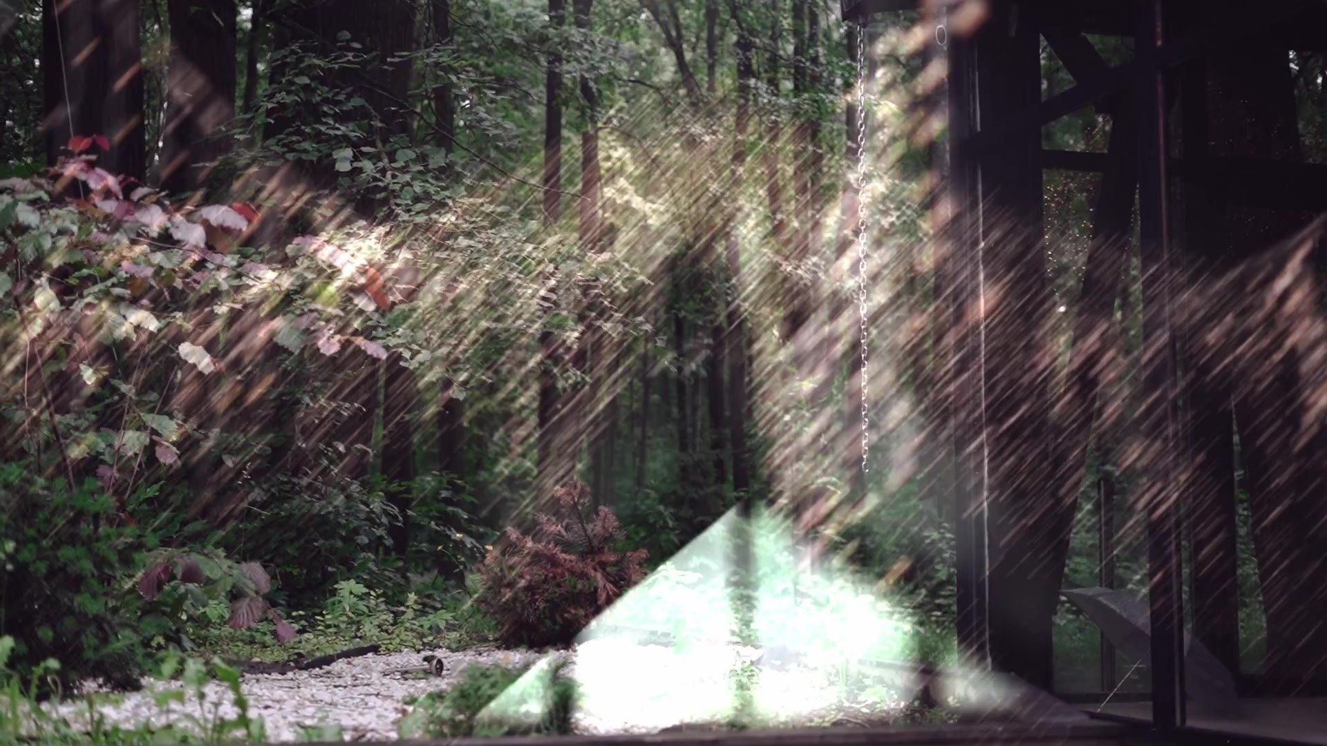 Антон и Дария. Свадебный видеограф Москва Николай Слободянюк