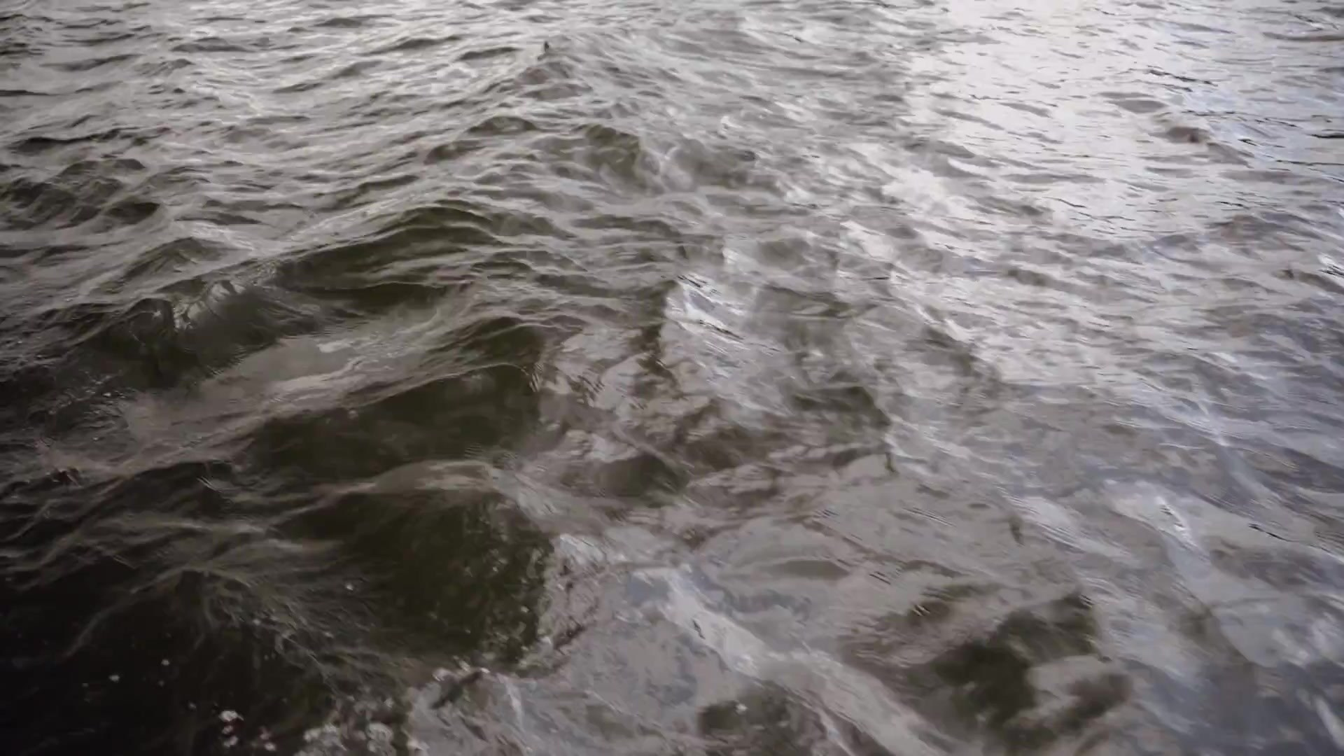 Алина и Александр. Свадебный видеограф Москва Николай Слободянюк