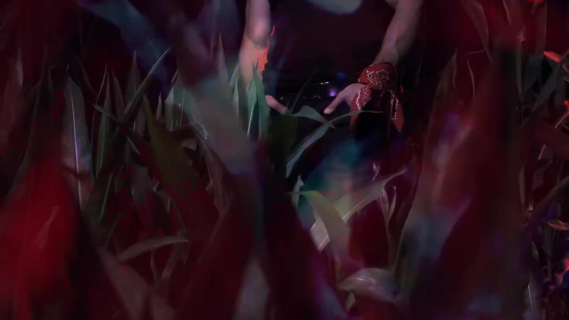 Видео. Контент-фотограф и видеограф в Перми