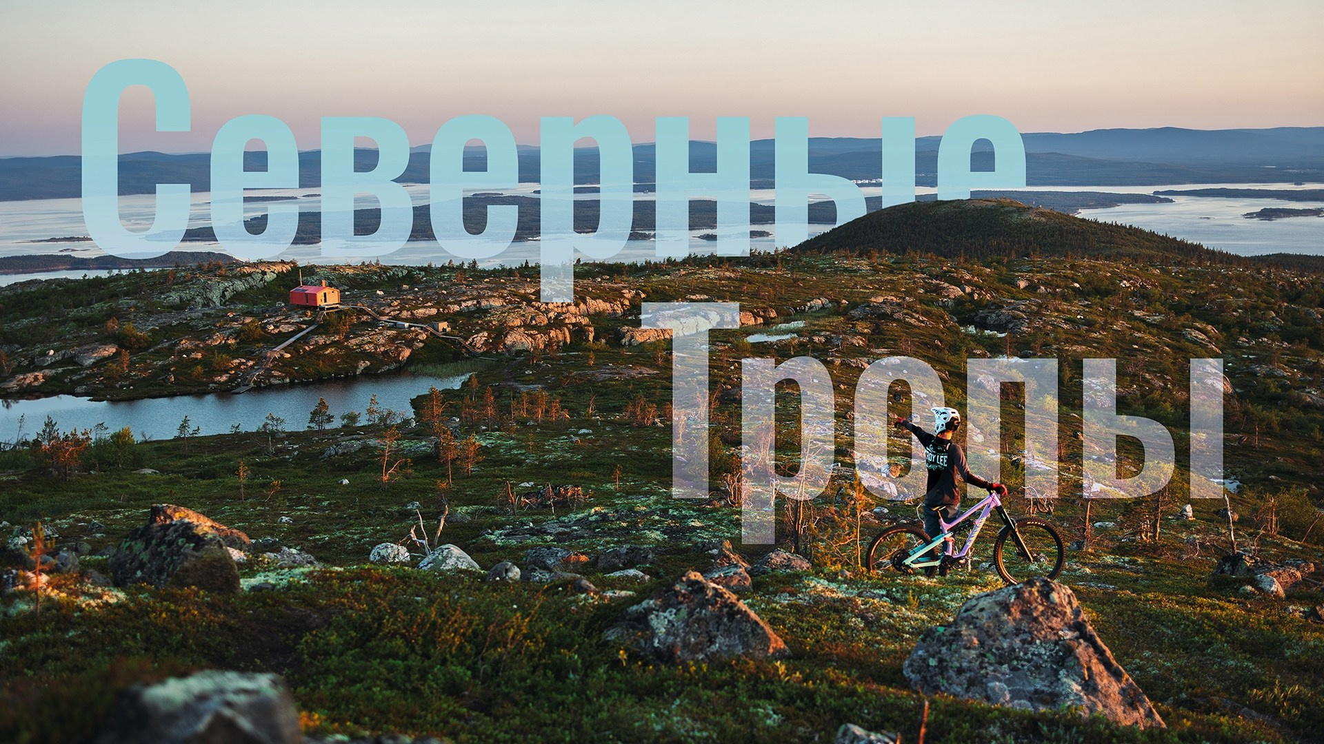 Видео. Фотограф анималист Никита Натальный