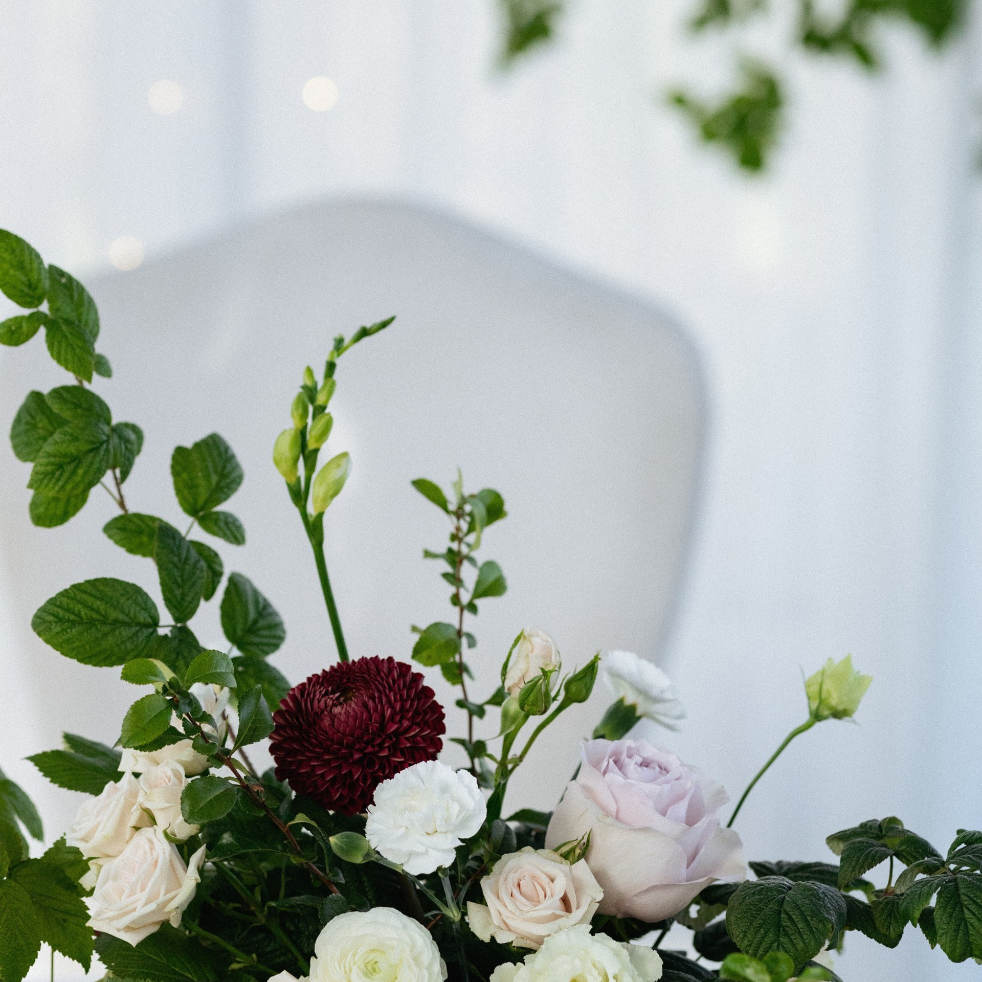 Тарифы Wedding. Вера Пьянцева семейный, свадебный и парный фотограф в Санкт-Петербурге