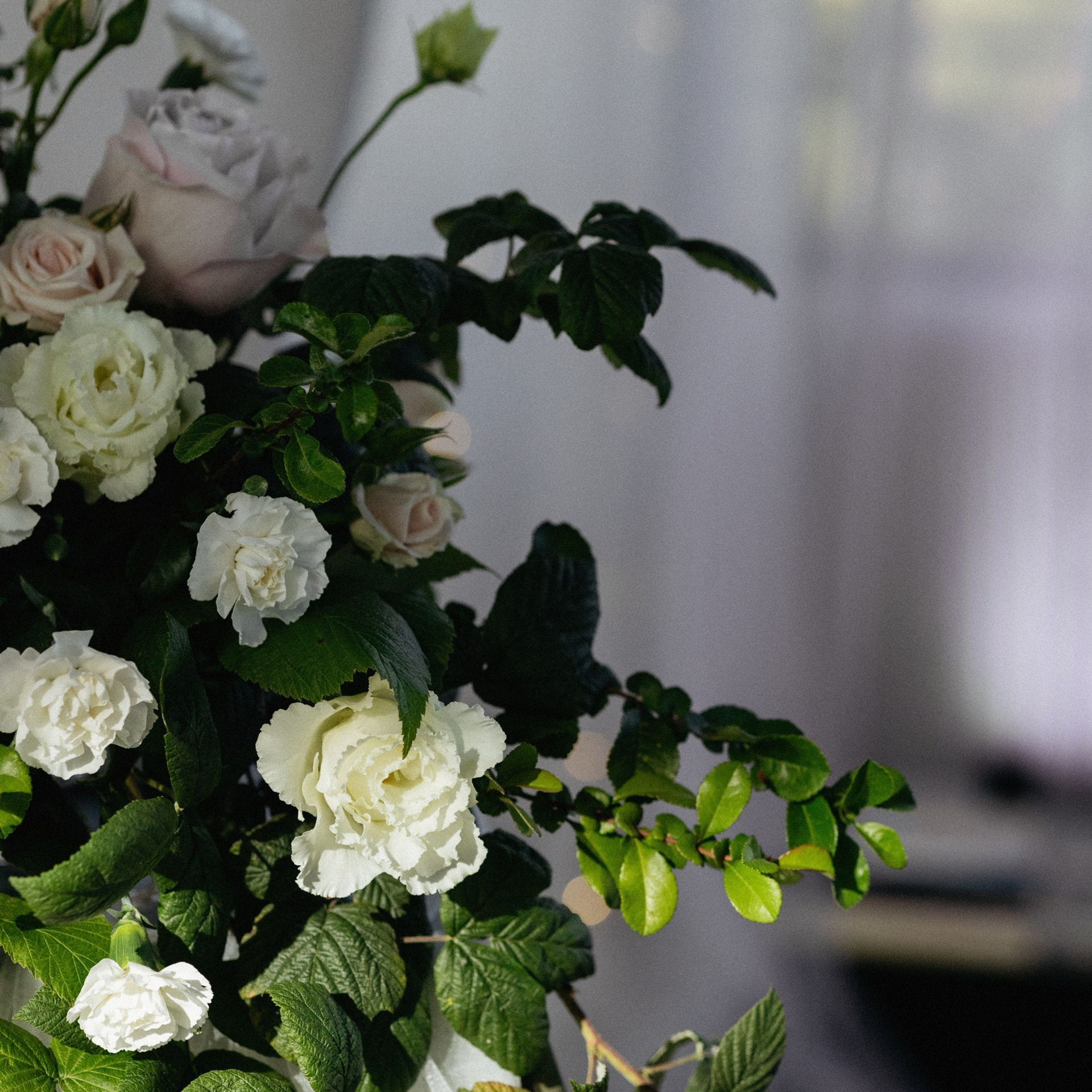 Тарифы Wedding. Вера Пьянцева семейный, свадебный и парный фотограф в Санкт-Петербурге