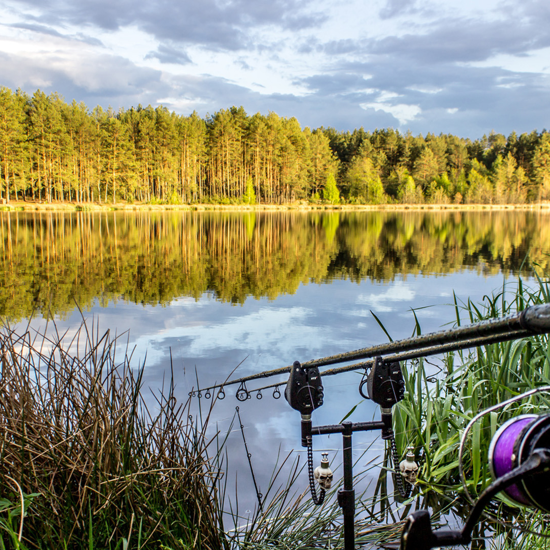 Новости и события Шалово-парк Серебрянные ключи. Оздоровительный комплекс Шалово-парк Серебряные ключи