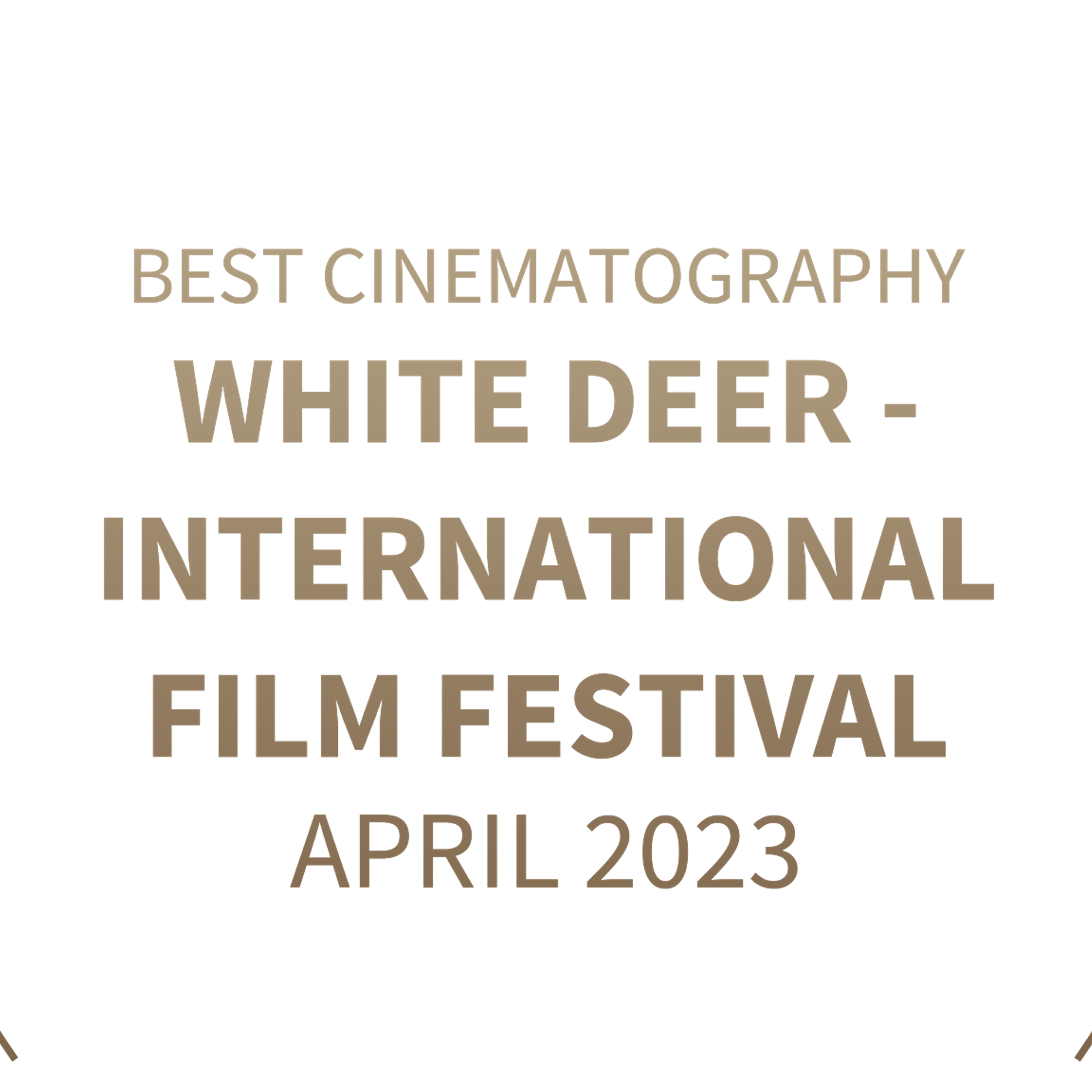 Фотограф и режиссер Сергей Спирин. Фотограф и режиссер Сергей Спирин. Москва