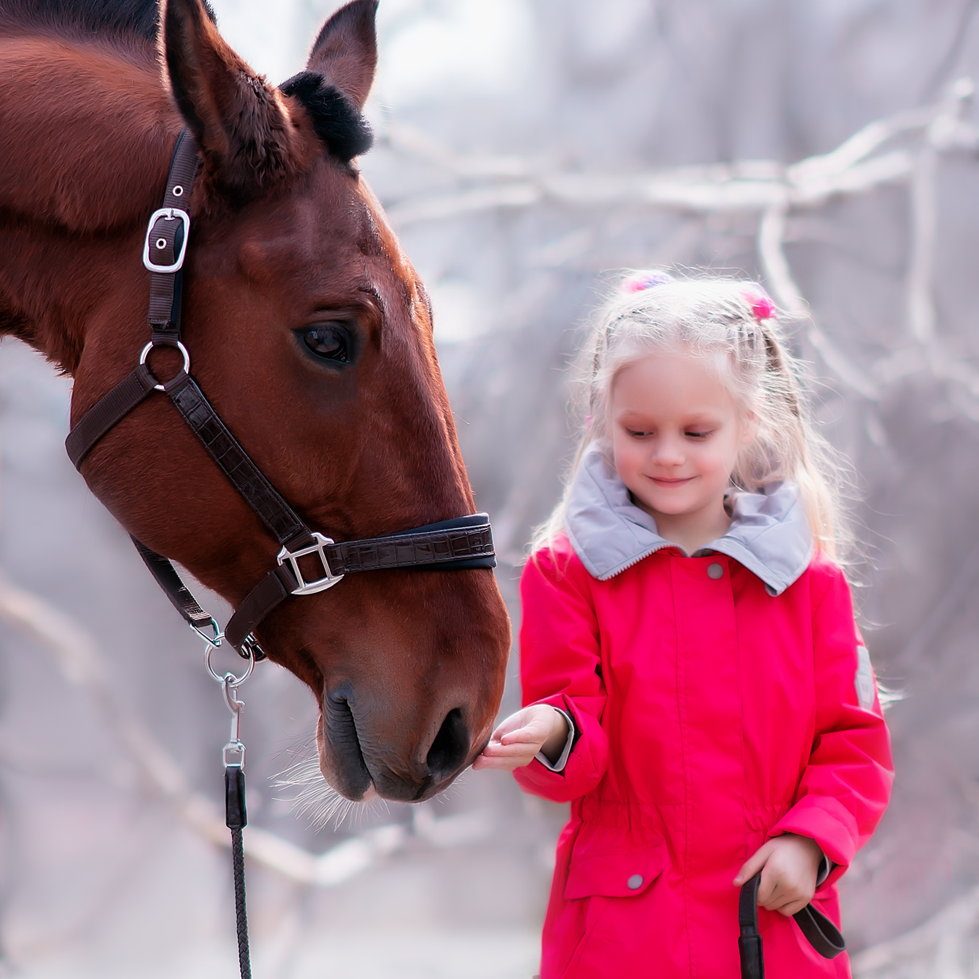 Отзывы о фотосессии. Фотограф Кочнова Диана город Владивосток