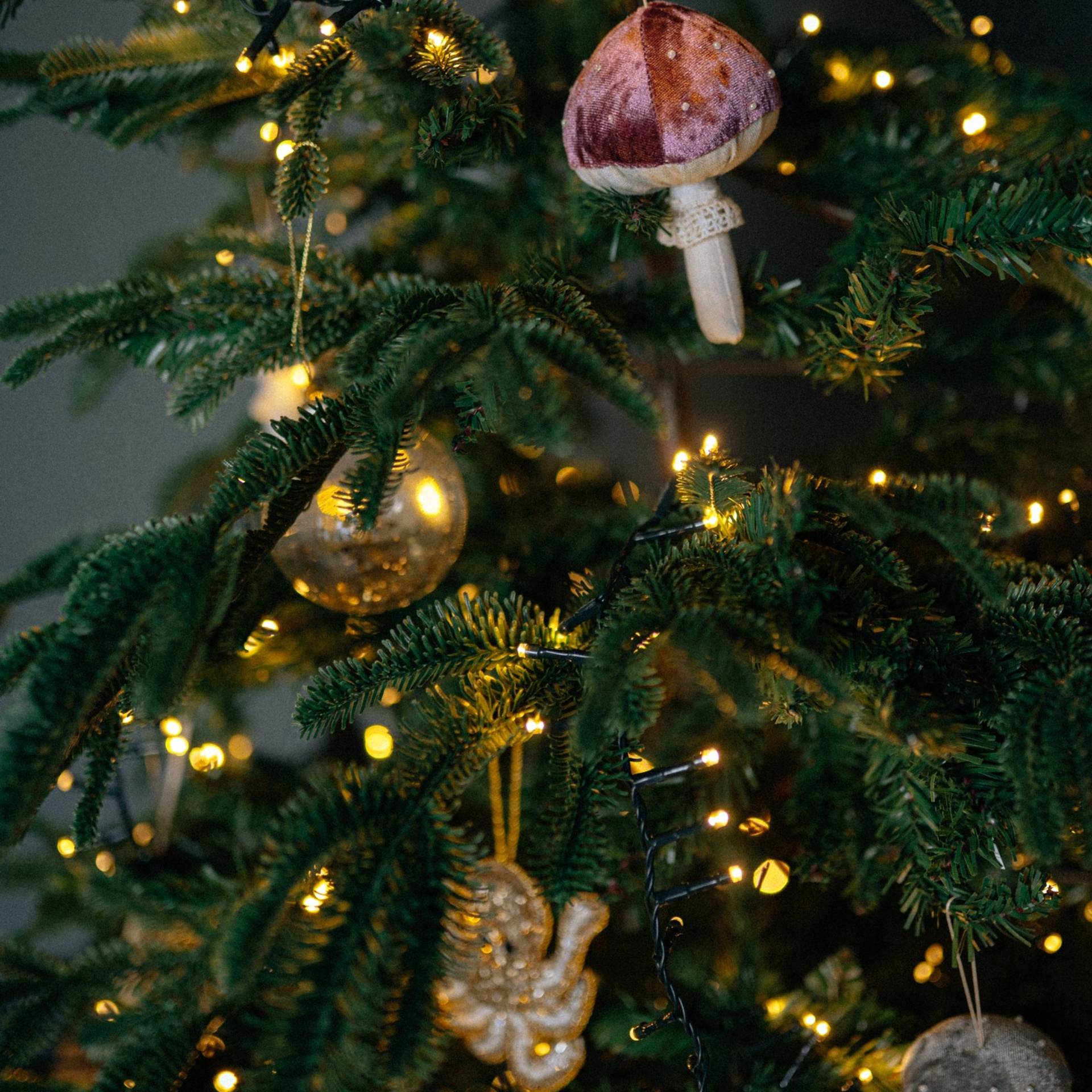 Новогодние локации 2026. Свадебный и семейный фотограф в Туле и области Маша Костина