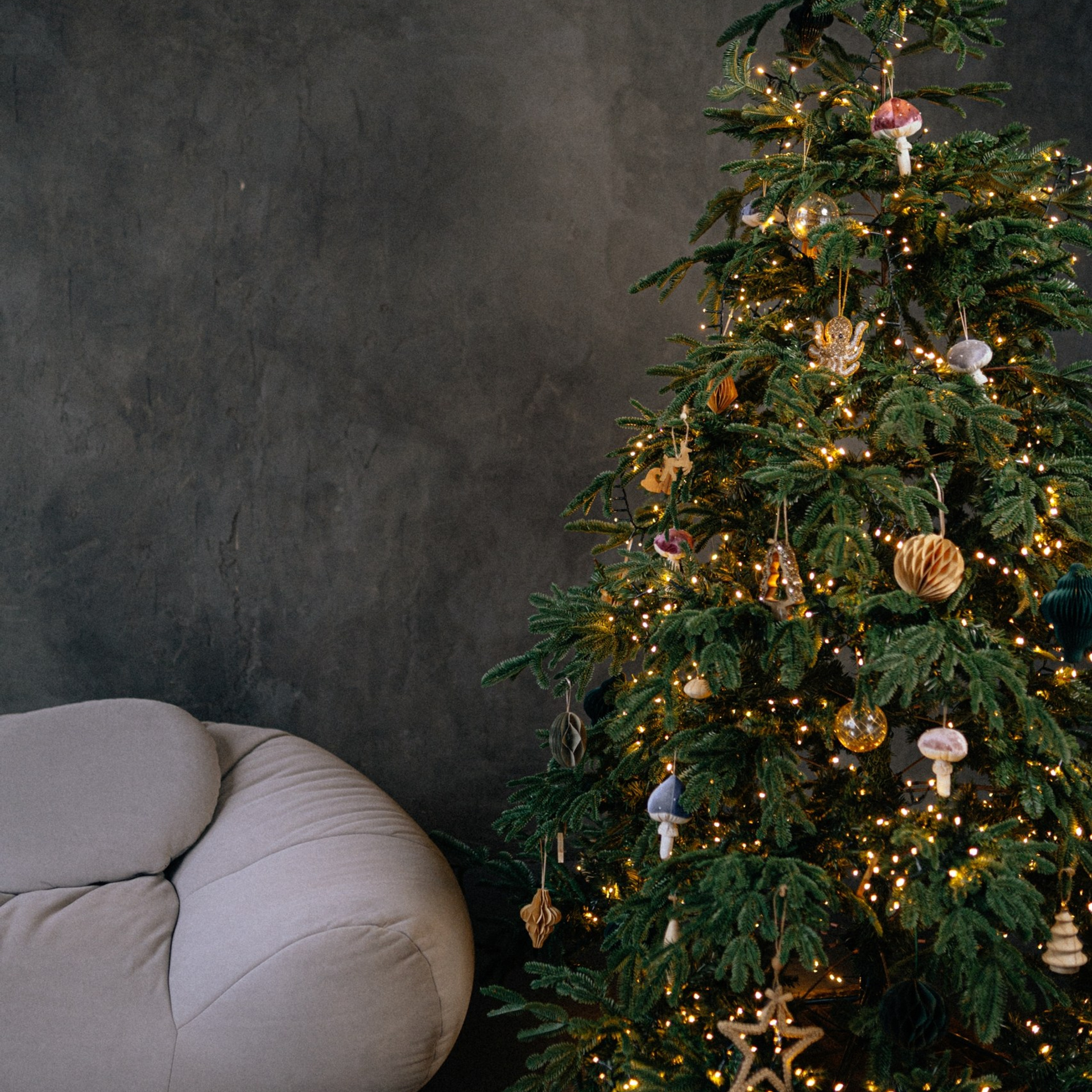 Новогодние локации 2026. Свадебный и семейный фотограф в Туле и области Маша Костина