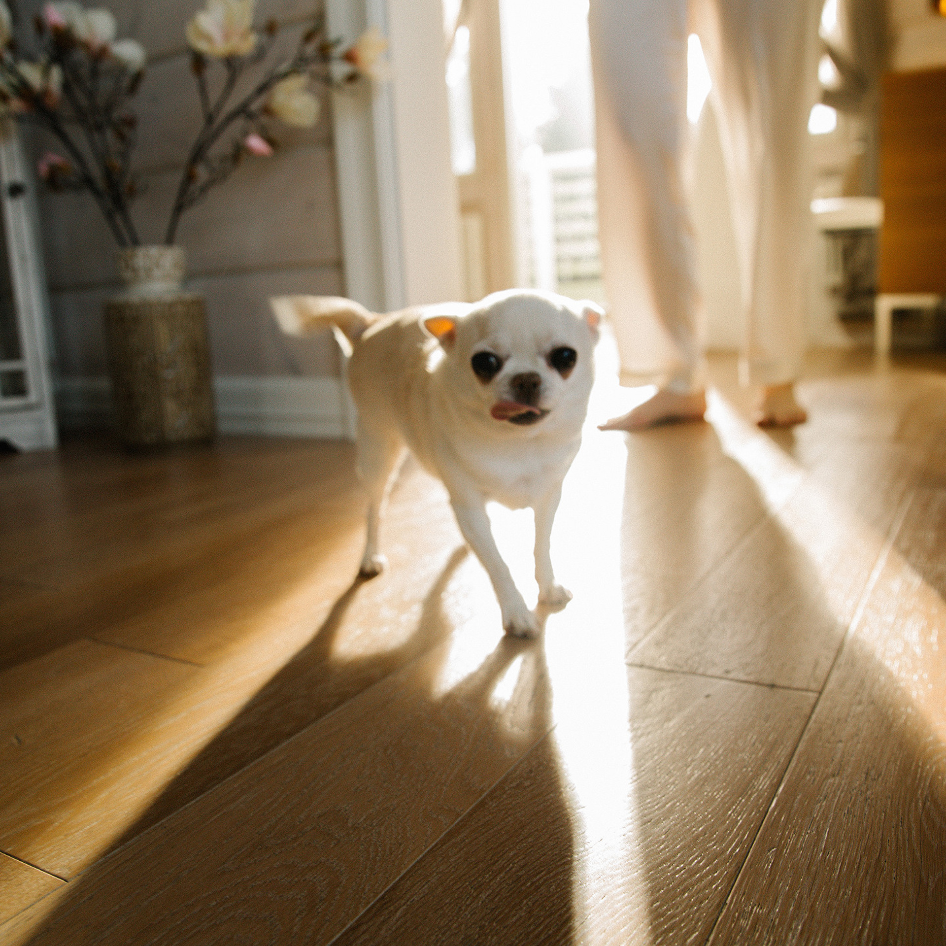 A&I. Семейный и свадебный фотограф в Москве и МО Женя Истинова