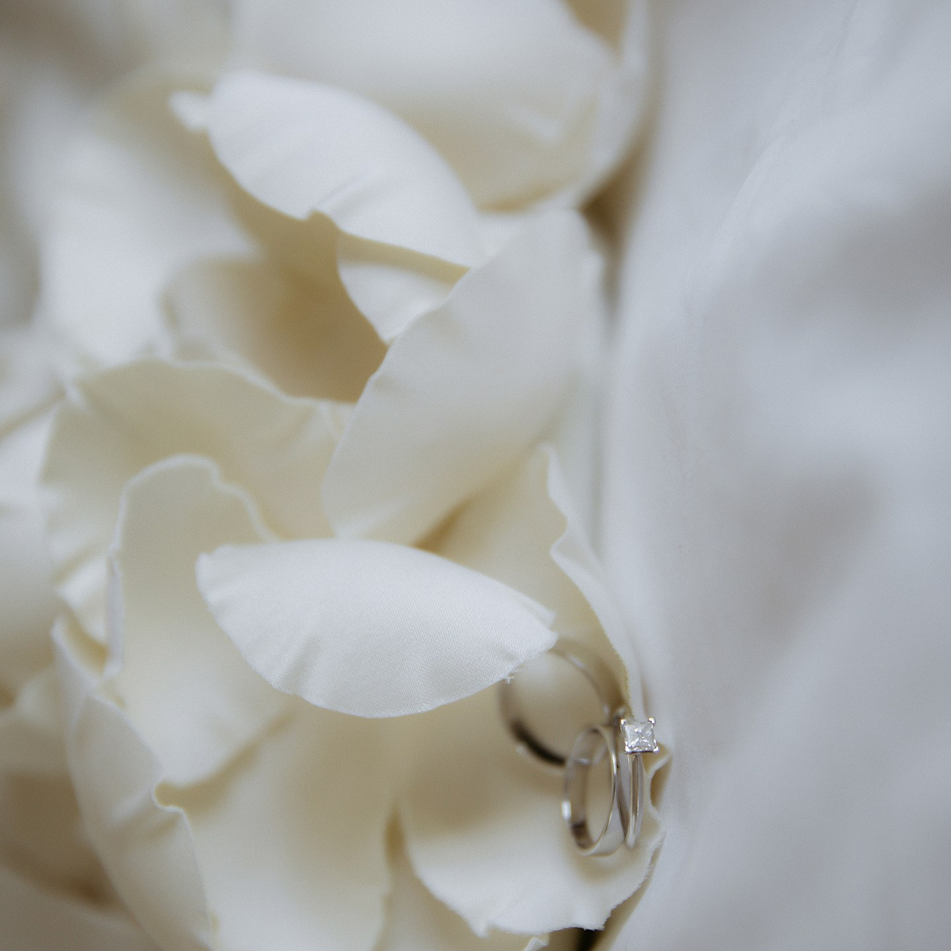 A&M. Семейный и свадебный фотограф в Москве и МО Женя Истинова