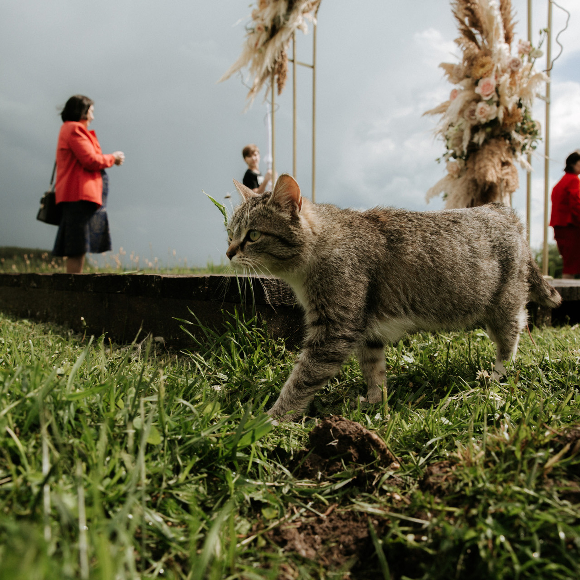 Sasha&Kristina. Семейный и свадебный фотограф в Москве и МО Женя Истинова