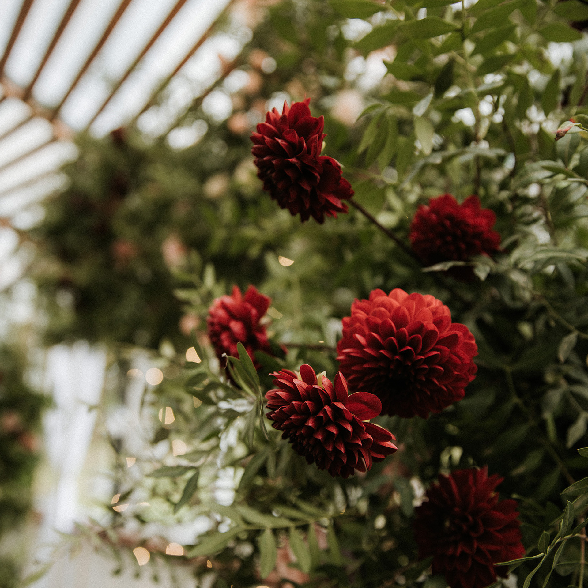 O&P. Семейный и свадебный фотограф в Москве и МО Женя Истинова