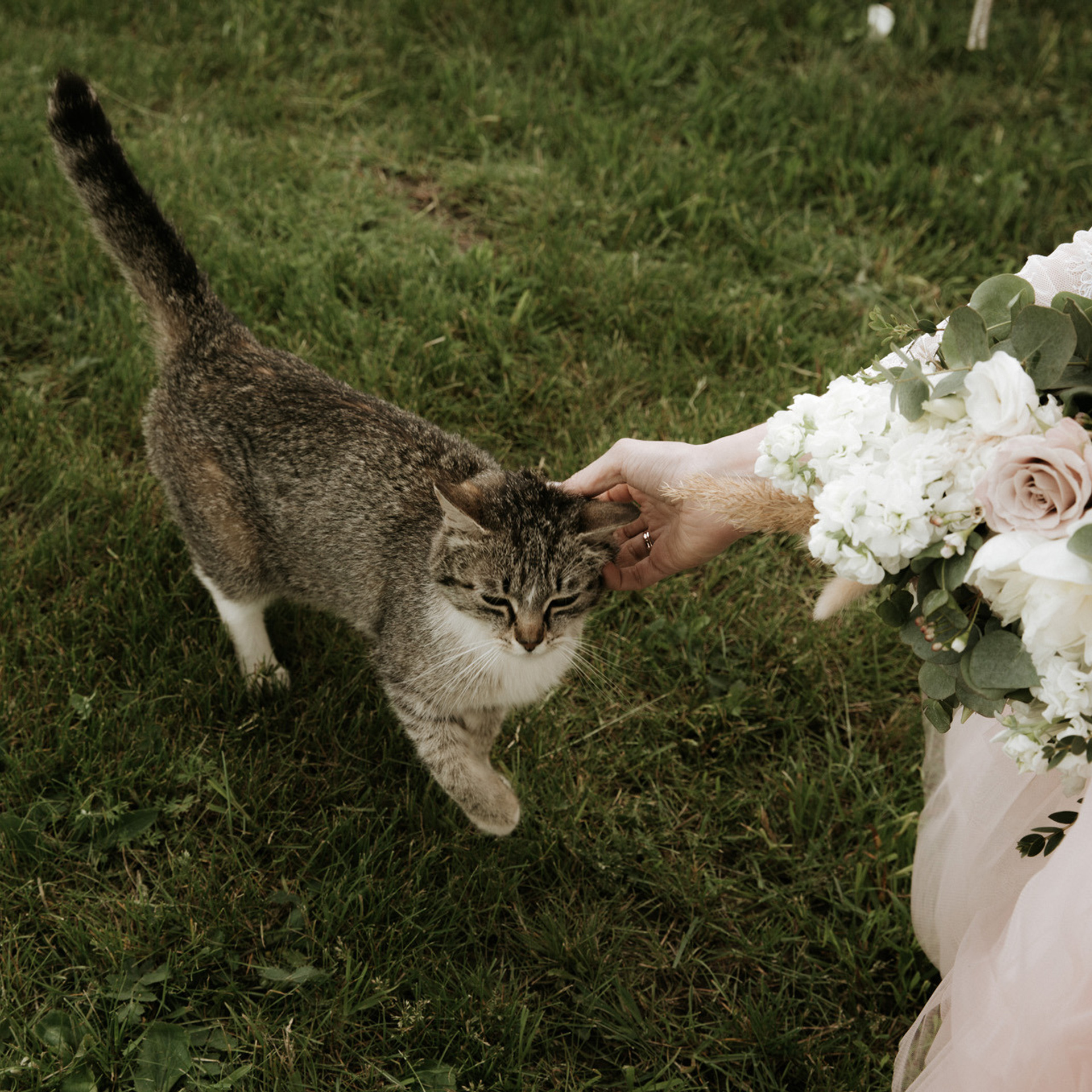 Sasha&Kristina. Семейный и свадебный фотограф в Москве и МО Женя Истинова