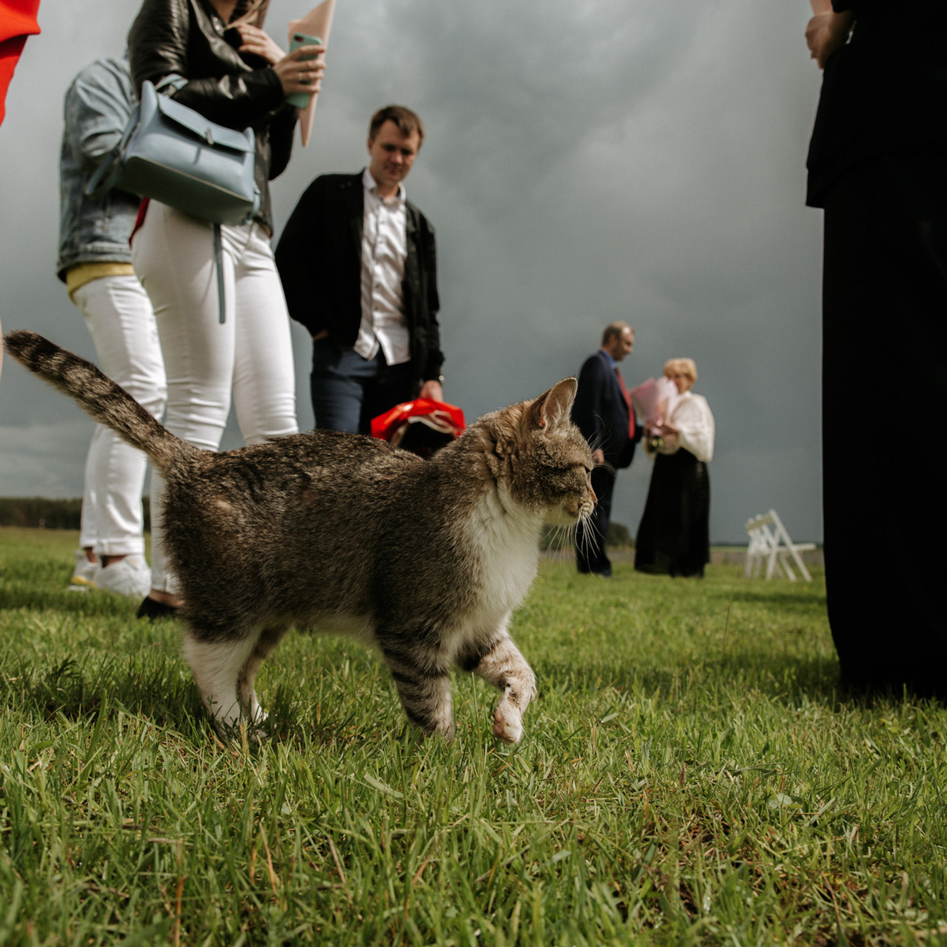 Sasha&Kristina. Семейный и свадебный фотограф в Москве и МО Женя Истинова