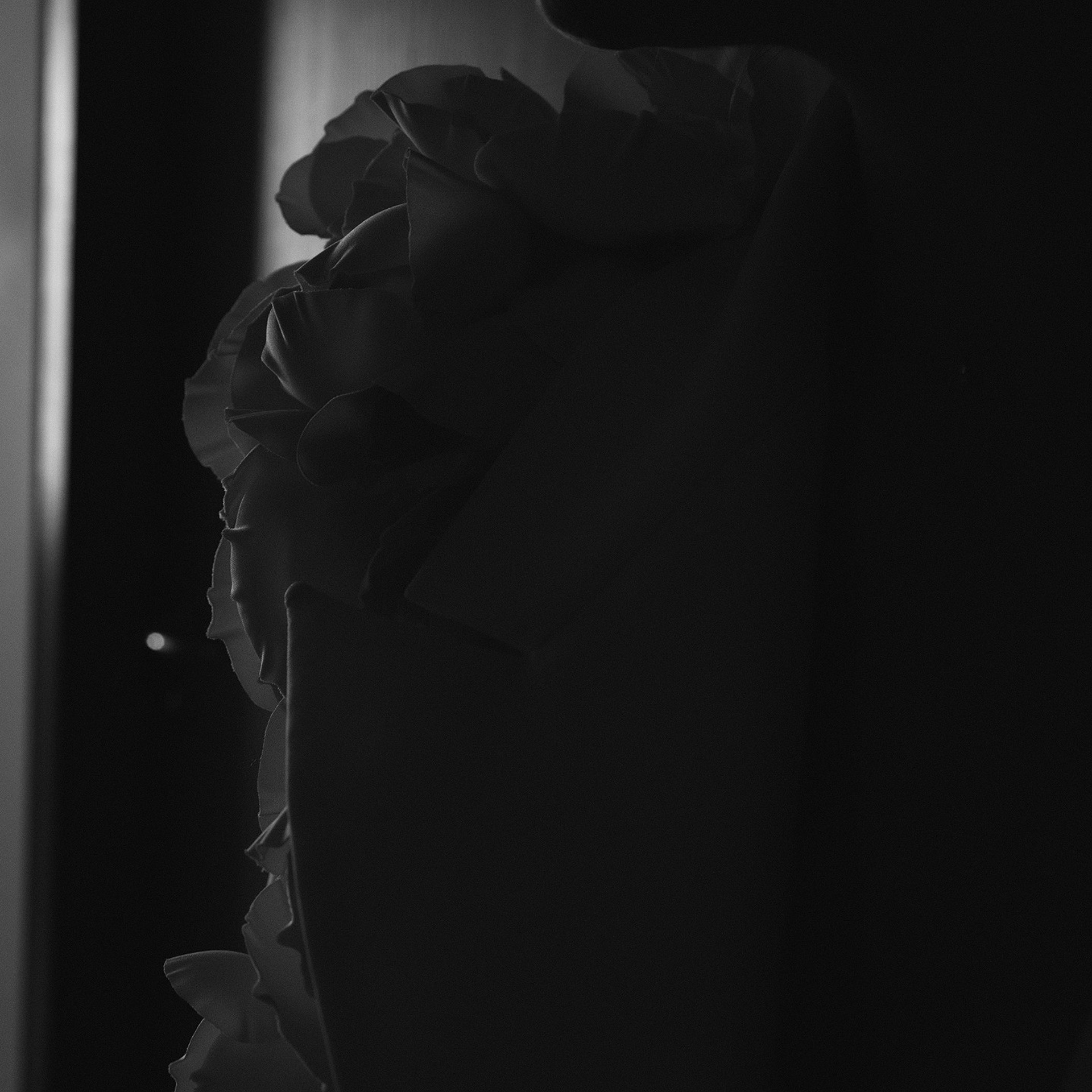 A&M. Семейный и свадебный фотограф в Москве и МО Женя Истинова