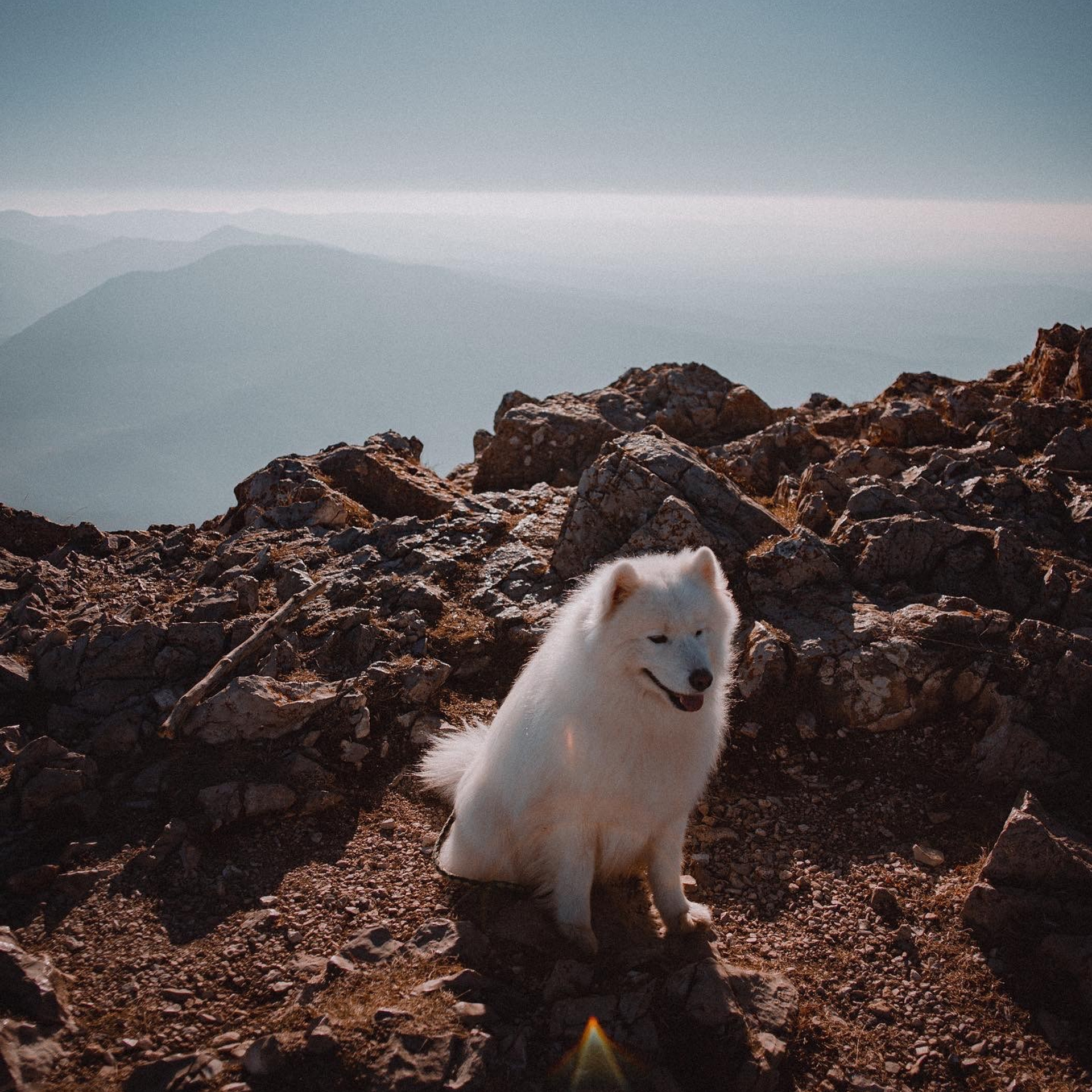 Чатырдаг. Валерия Вдовина | атмосферные фото-путешествия по Крыму