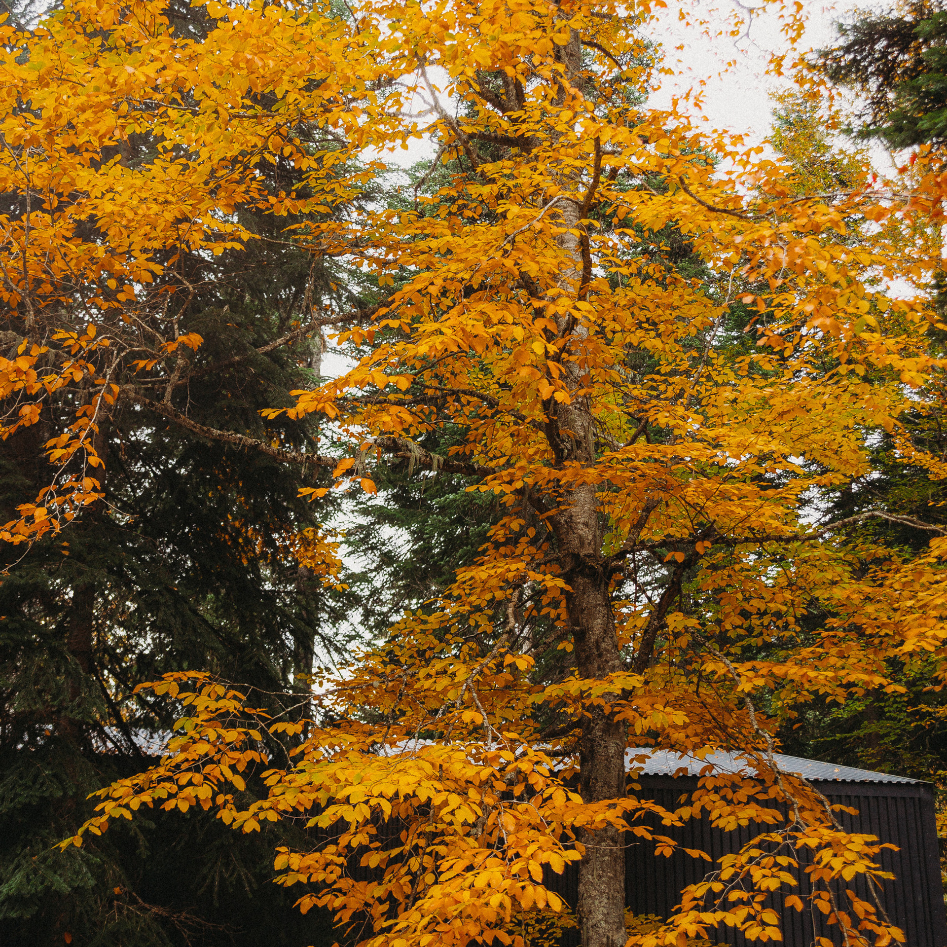 Отзывы. ZAVALIHINA.RU