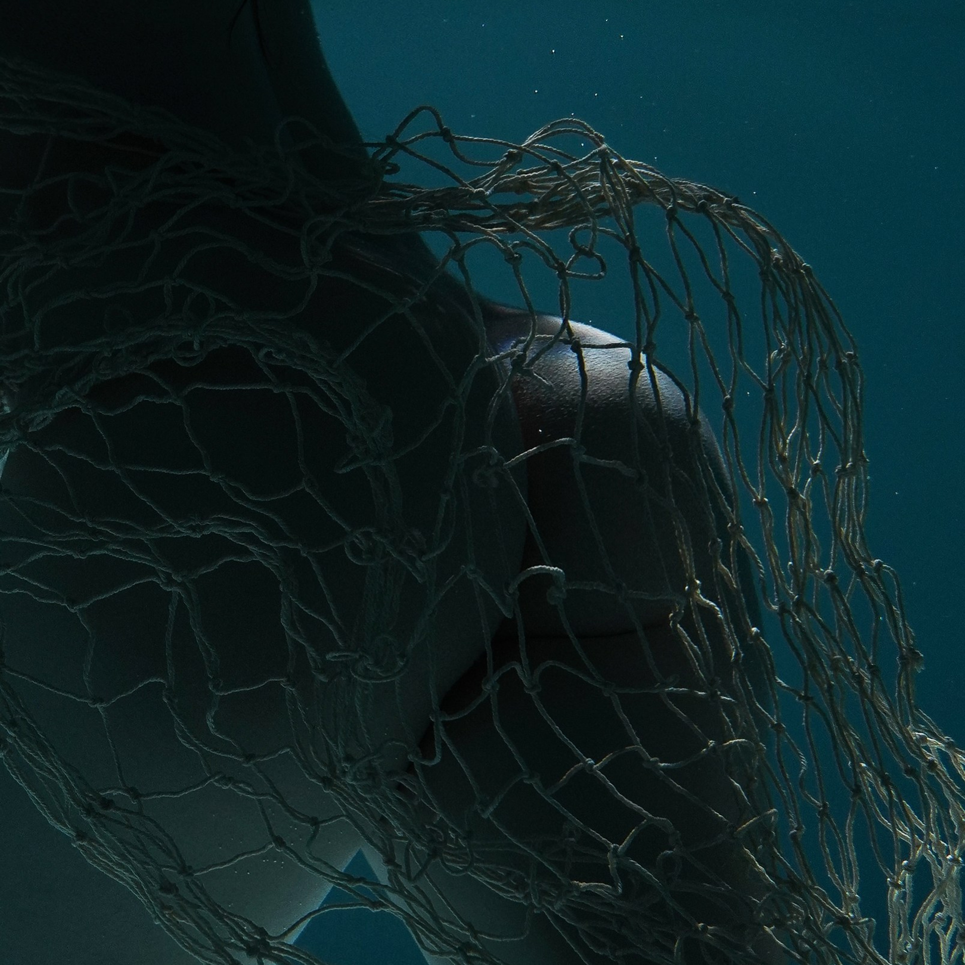 Галерея 68. ZAVALIHINA.RU