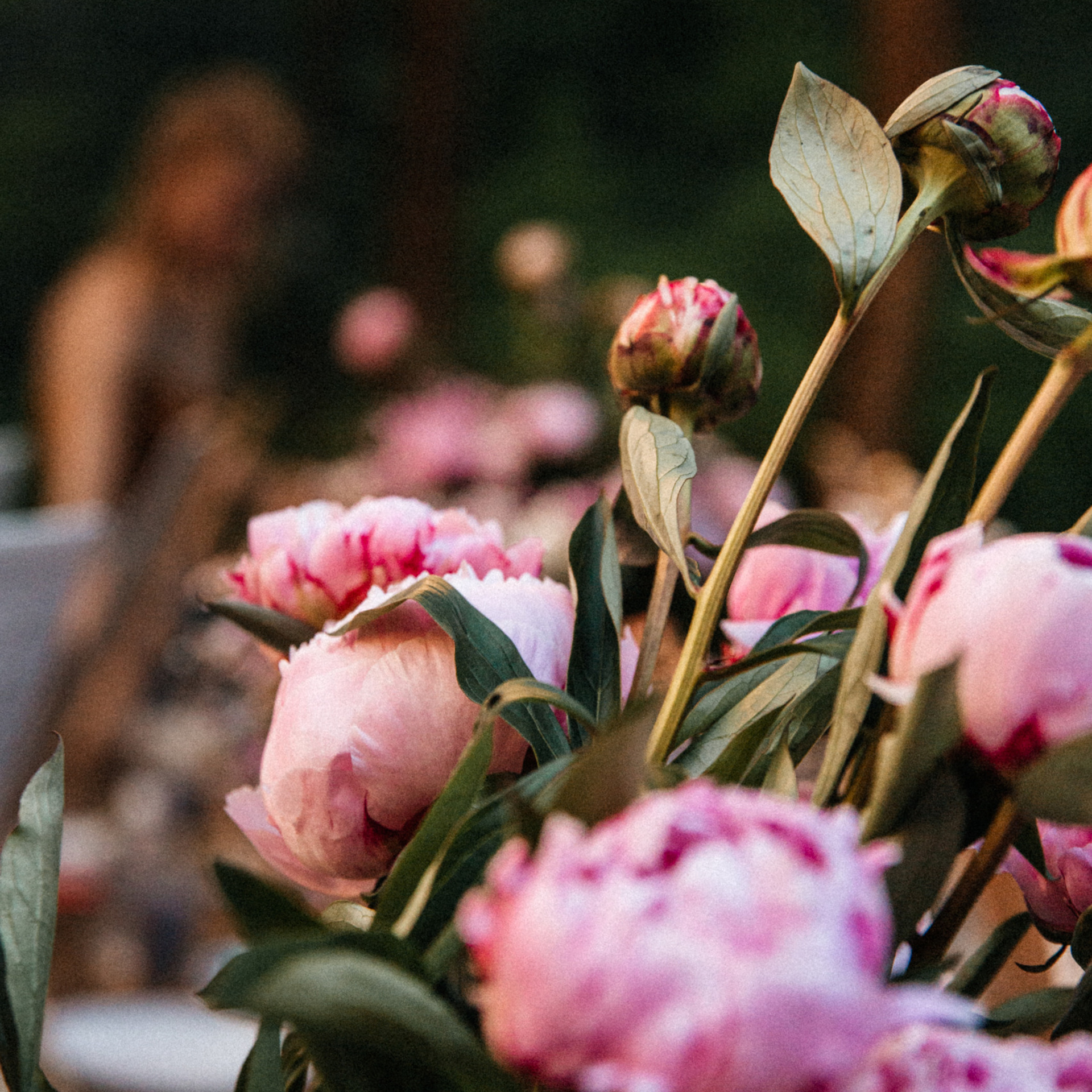 День рождения Юлии в Скасках