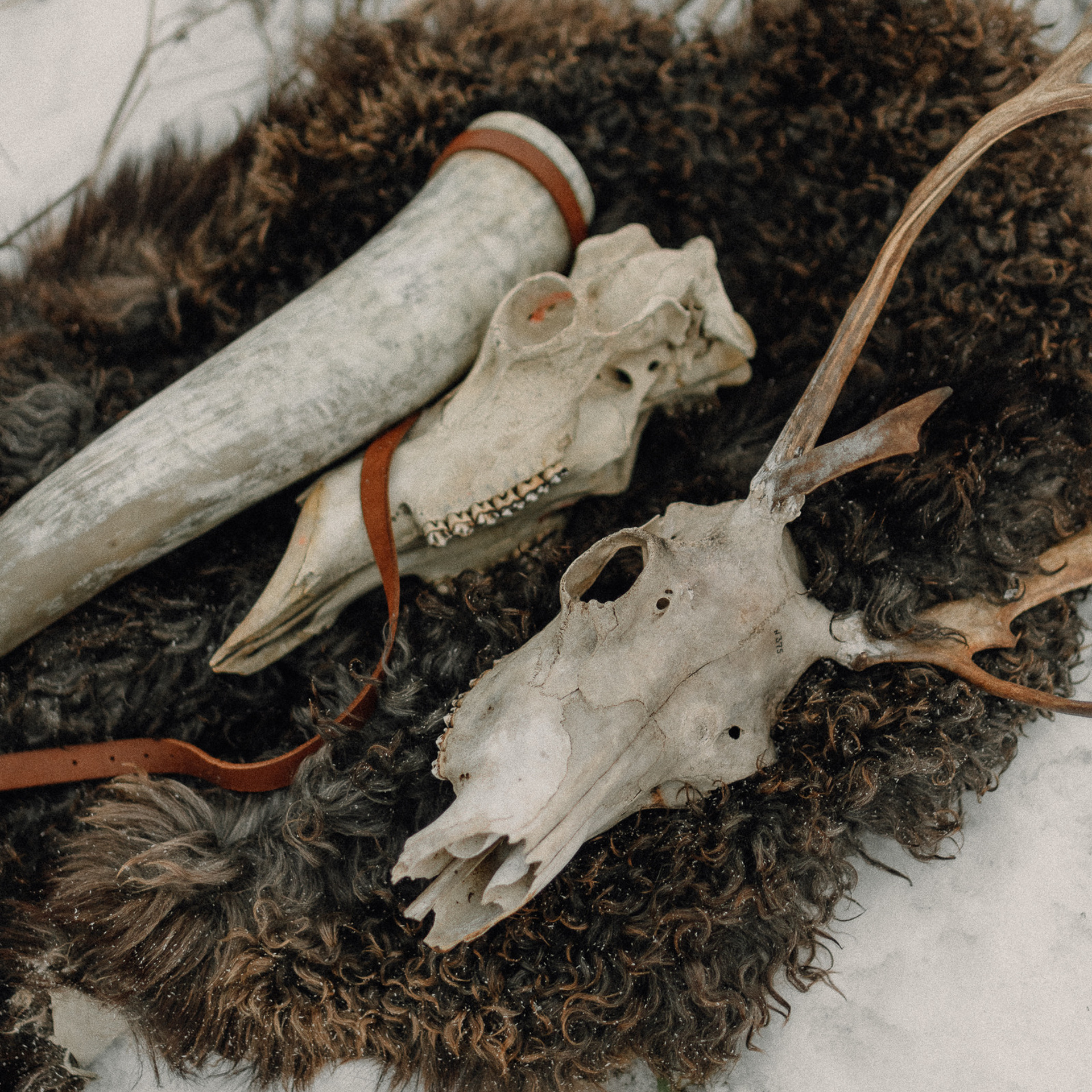 Отзывы. Фотограф Елена Пожарова. Мурманская область, Апатиты, Кировск, Хибины