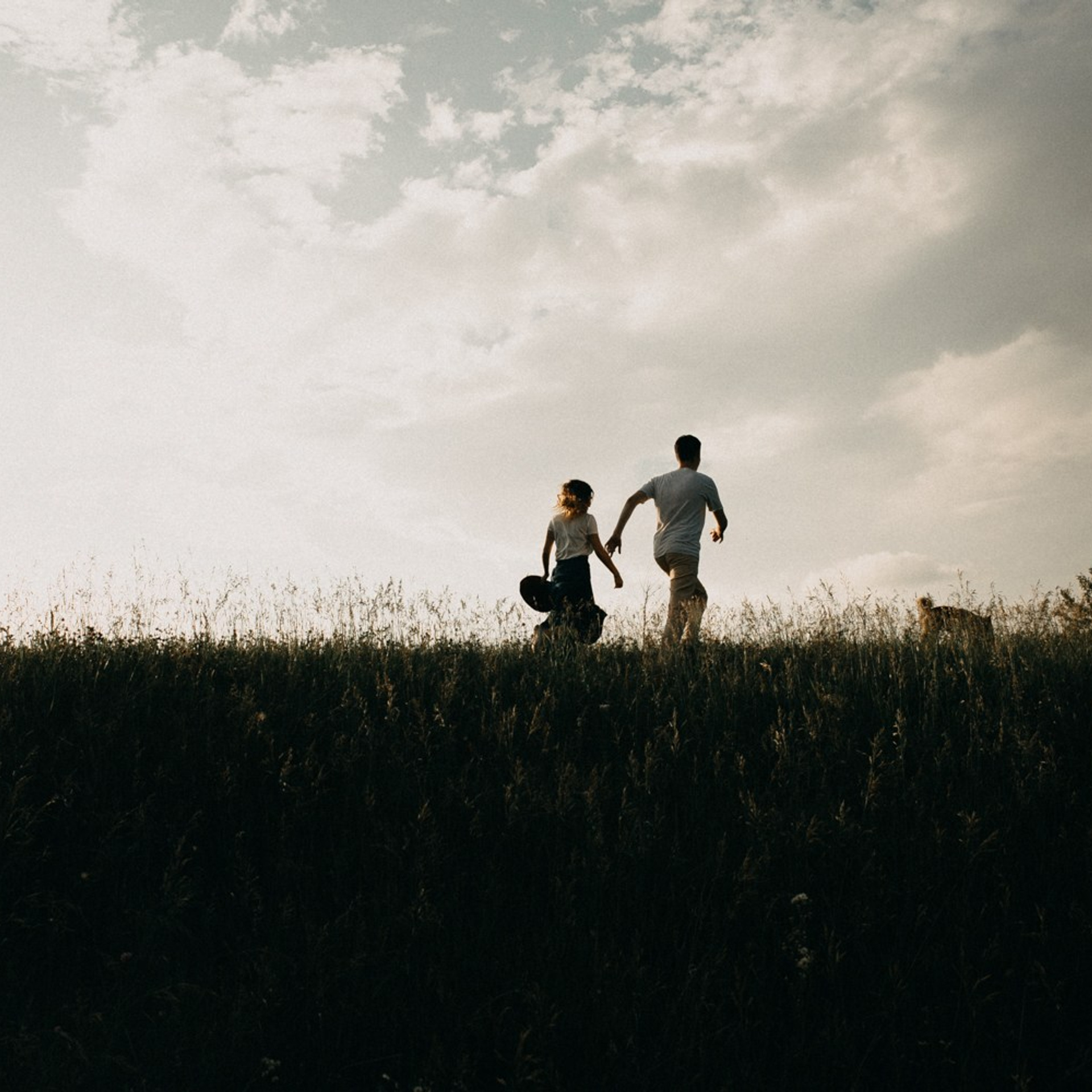 Фотосессия с&nbsp;собакой Хабаровск