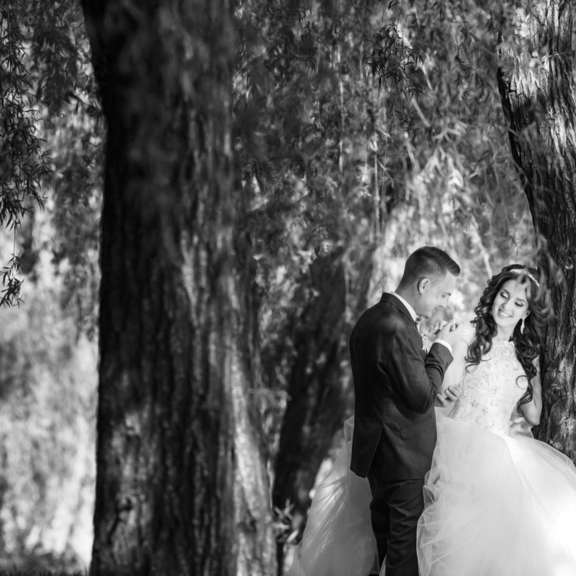 Свадебные фото Никита Виктория. Eewa.ru