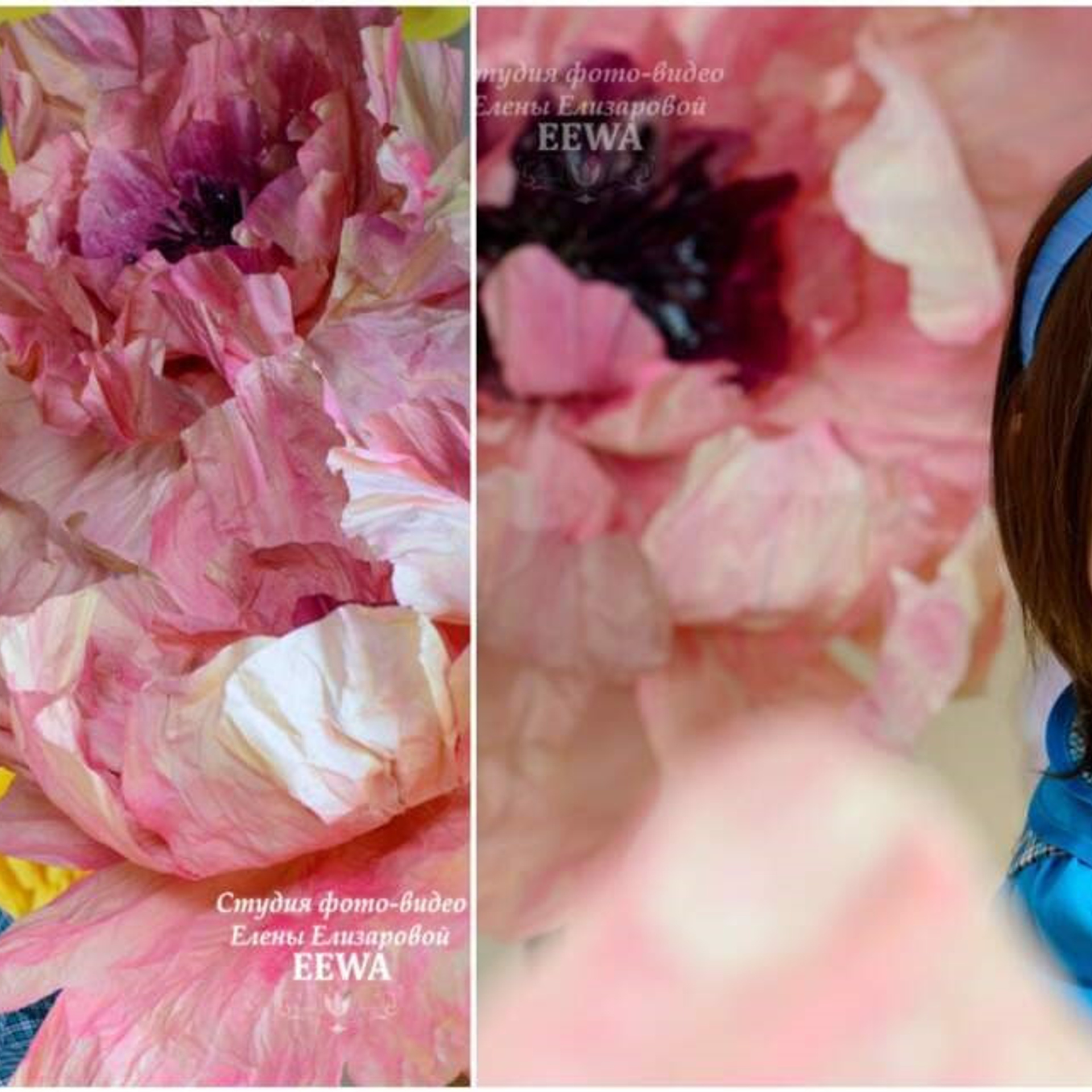 Фотостудия. Eewa.ru