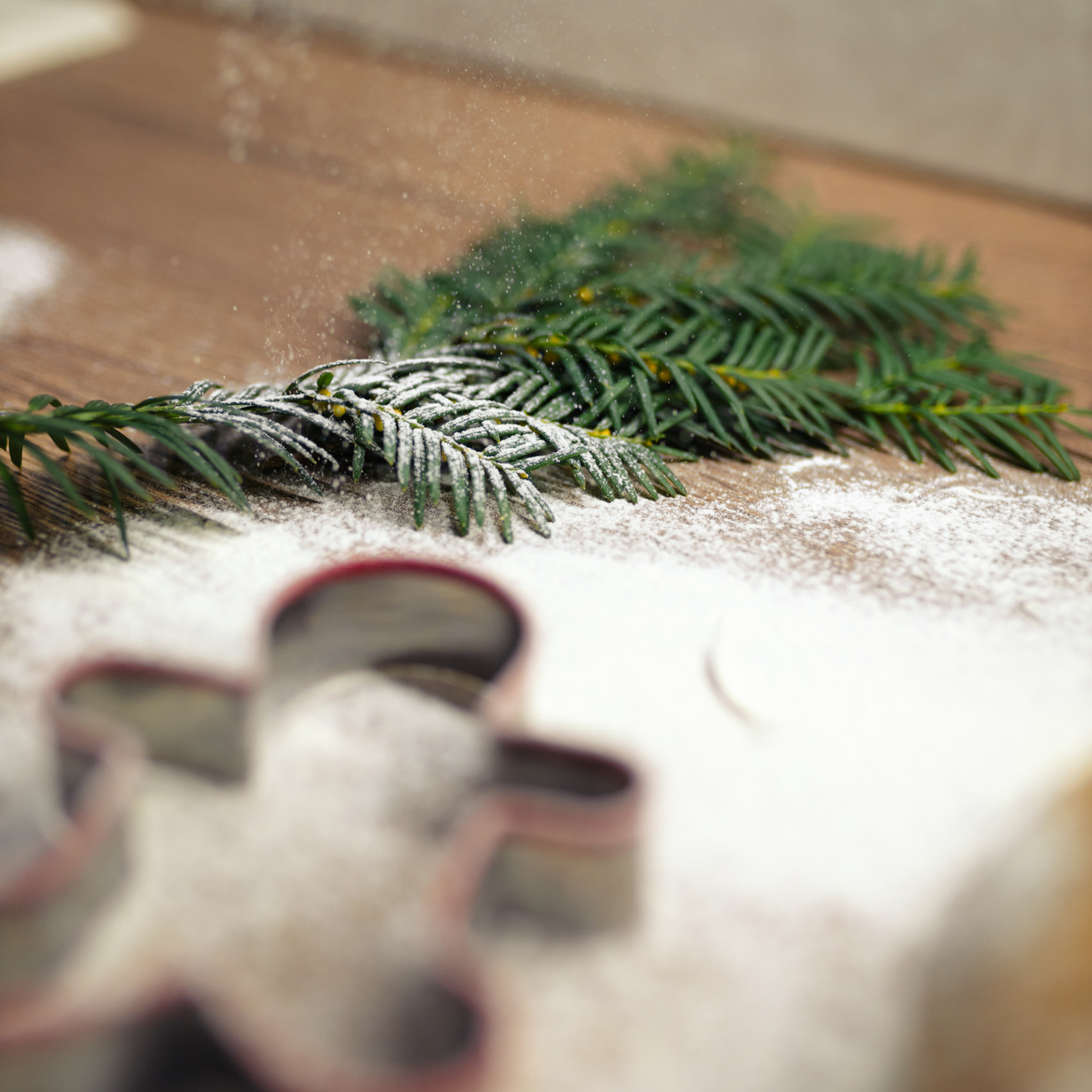 Пряничная жизнь. Фотограф Мария Сваридзе