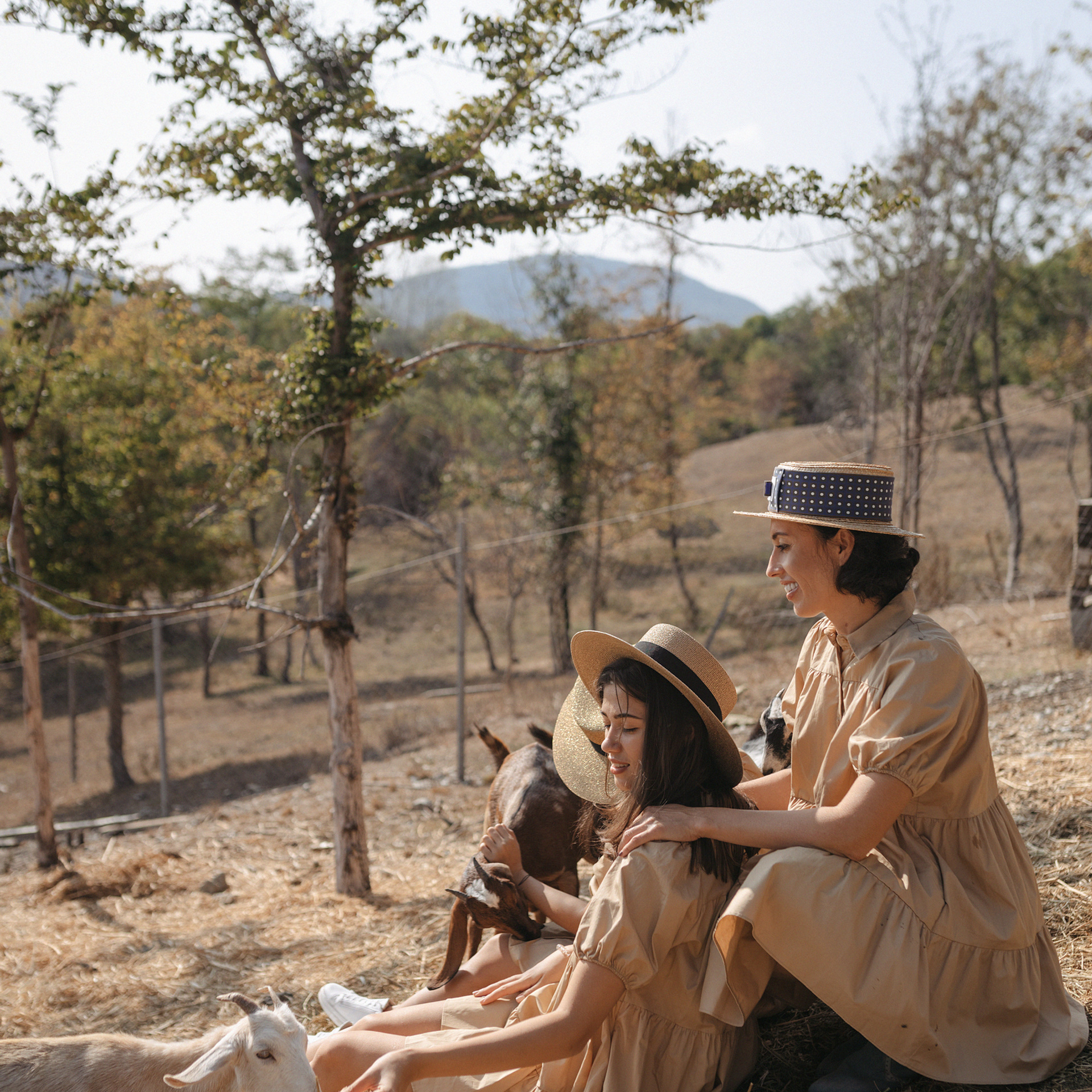Горная ферма Волино. Фотограф Мария Сваридзе