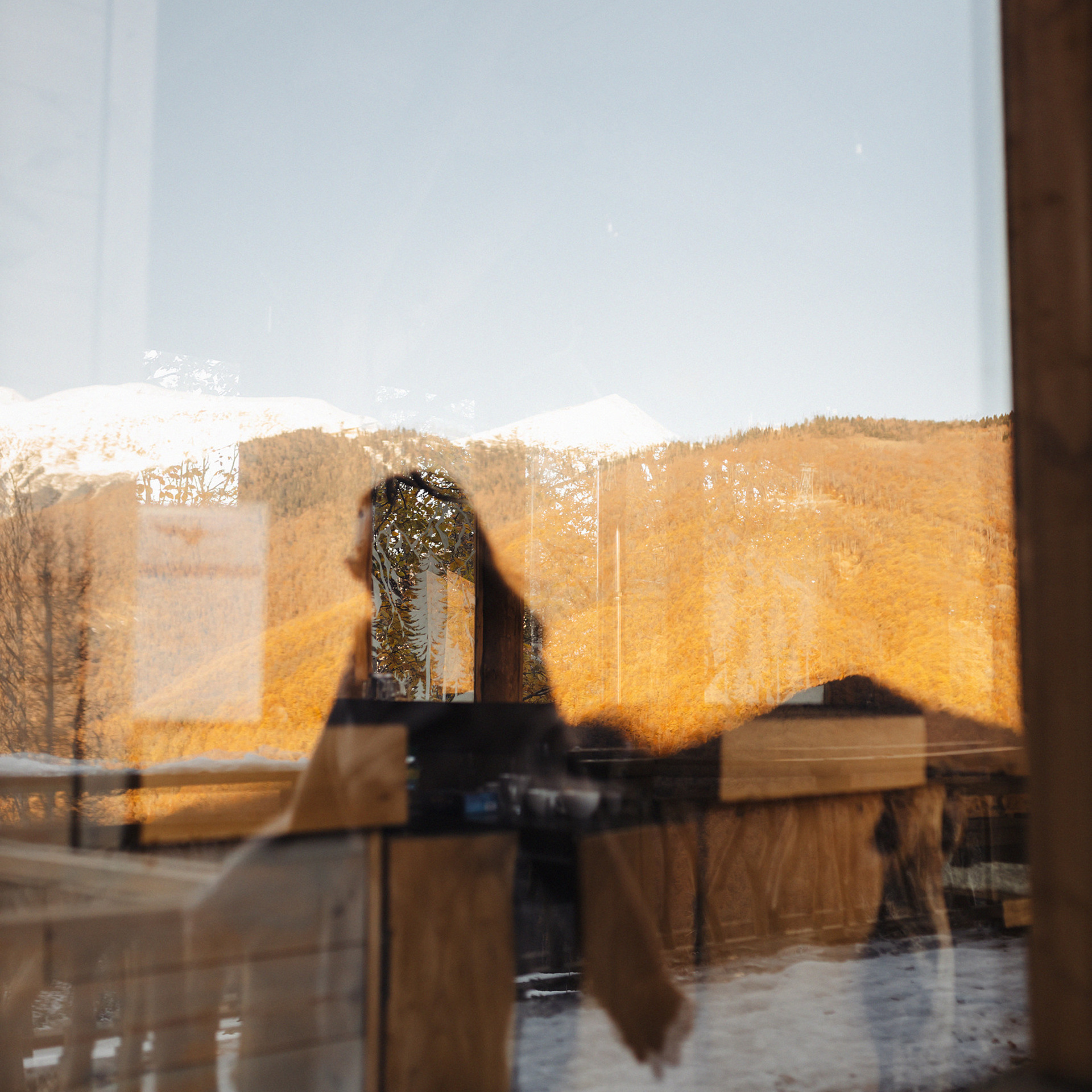 Снежные выходные. Фотограф Мария Сваридзе