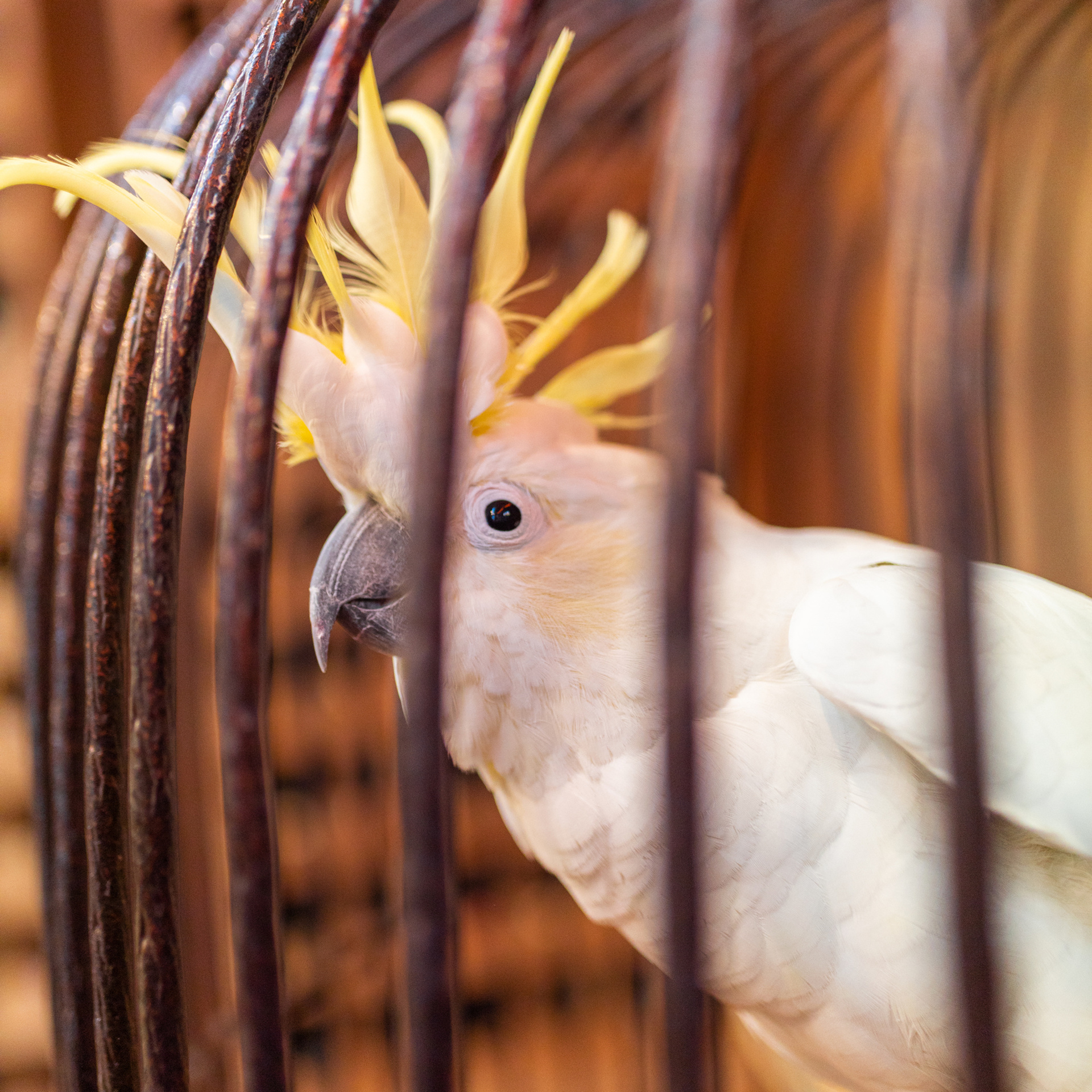 Чайхана Торне. Фотограф Мария Сваридзе