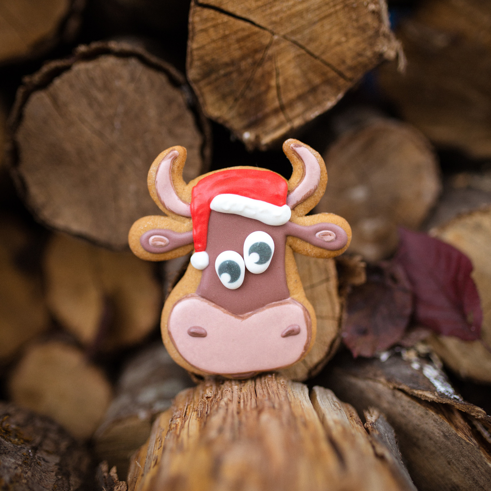 Пряничная жизнь. Фотограф Мария Сваридзе