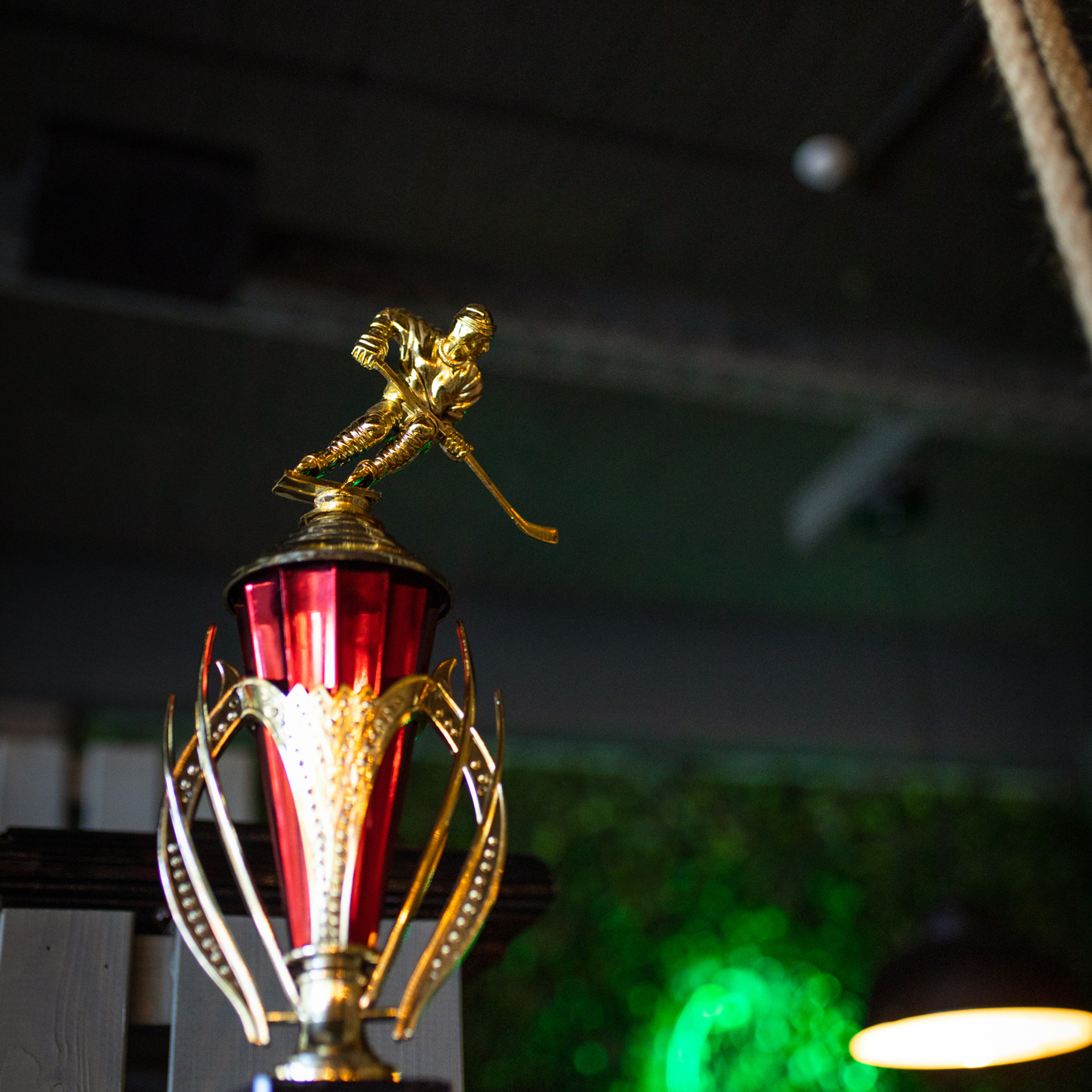 Кафе Мята. Фотограф Мария Сваридзе