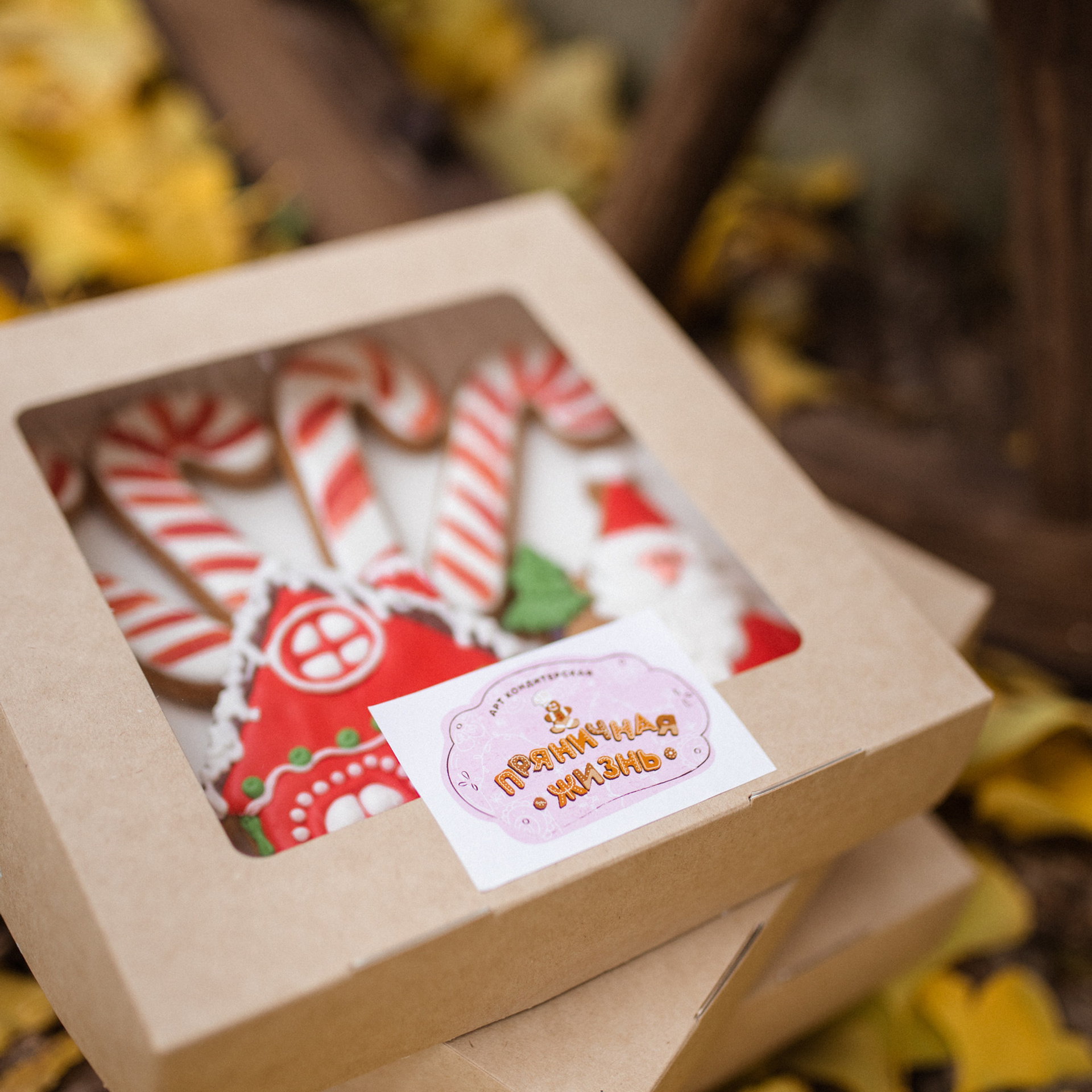 Пряничная жизнь. Фотограф Мария Сваридзе