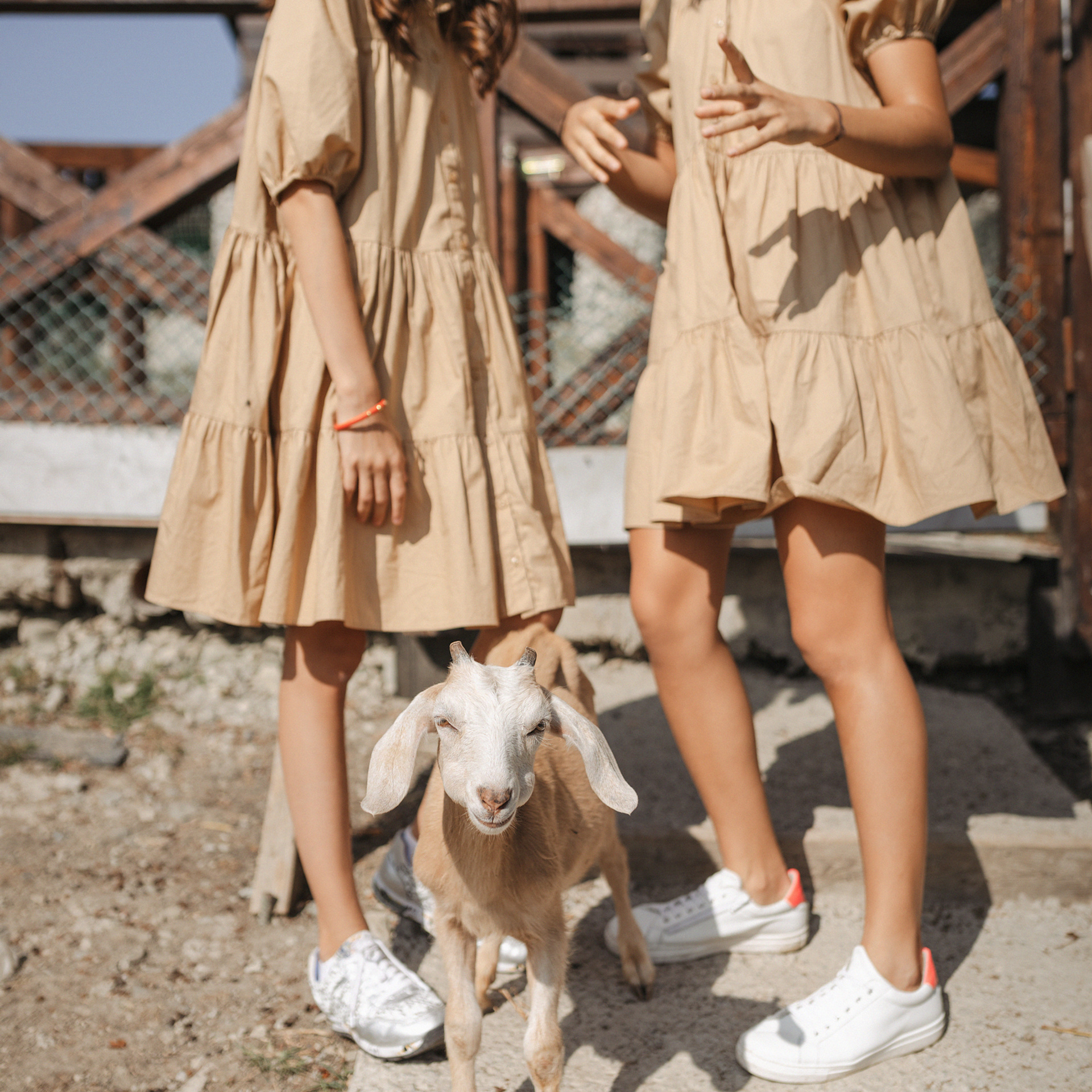 Горная ферма Волино. Фотограф Мария Сваридзе