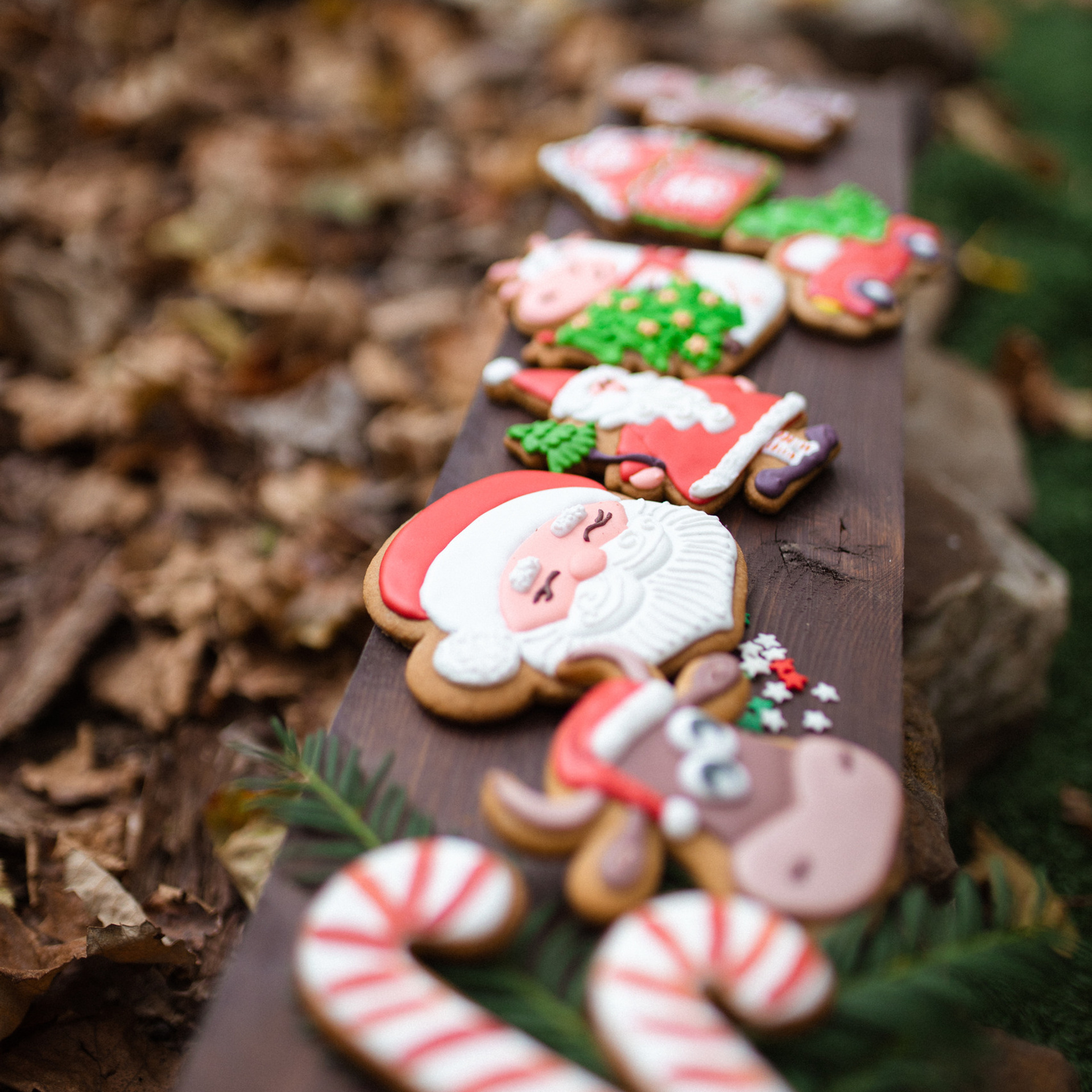 Пряничная жизнь. Фотограф Мария Сваридзе