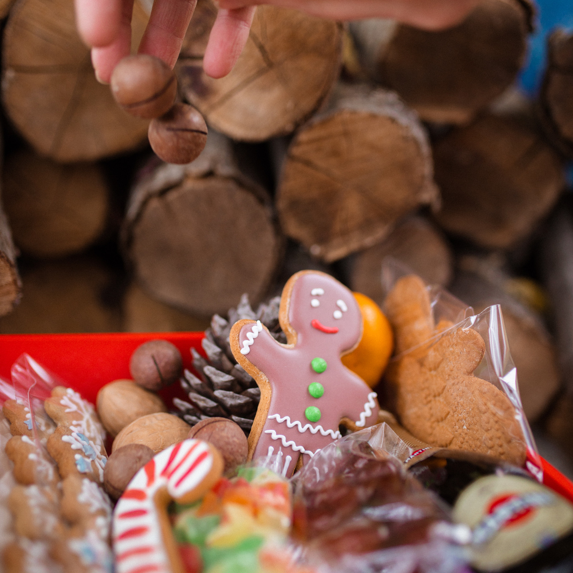 Пряничная жизнь. Фотограф Мария Сваридзе