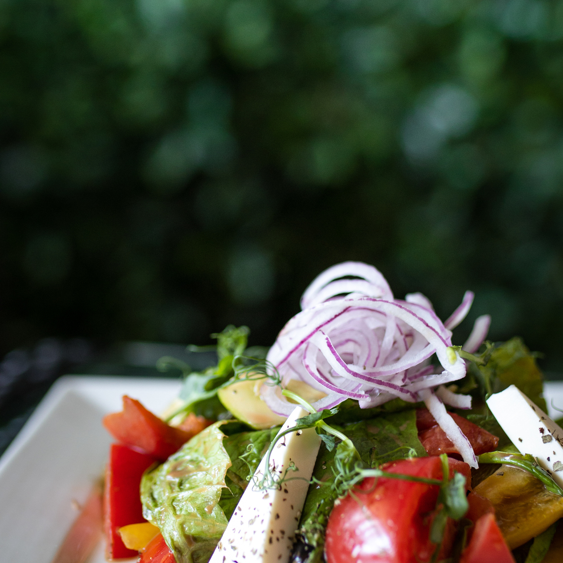 Кафе Мята. Фотограф Мария Сваридзе