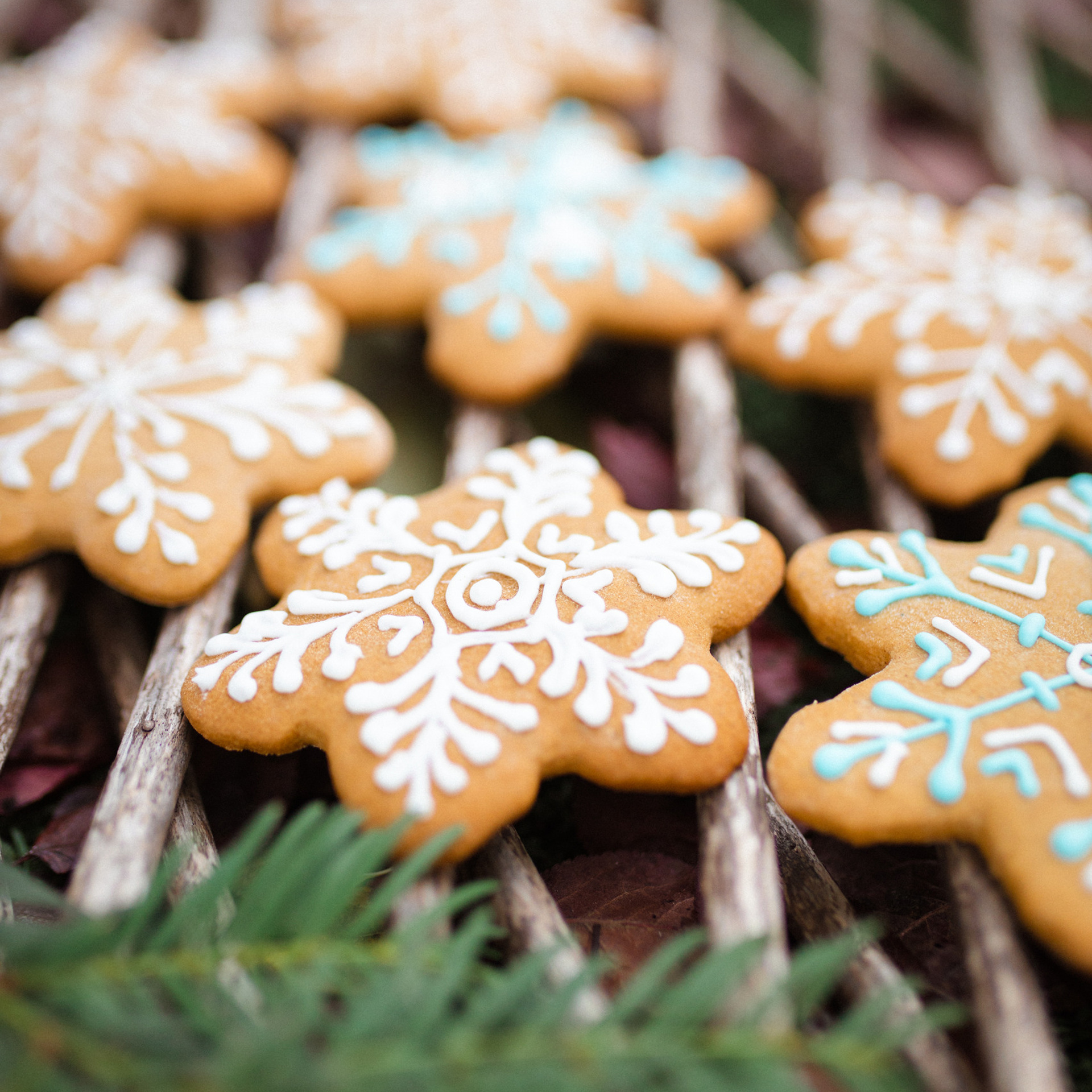 Пряничная жизнь. Фотограф Мария Сваридзе