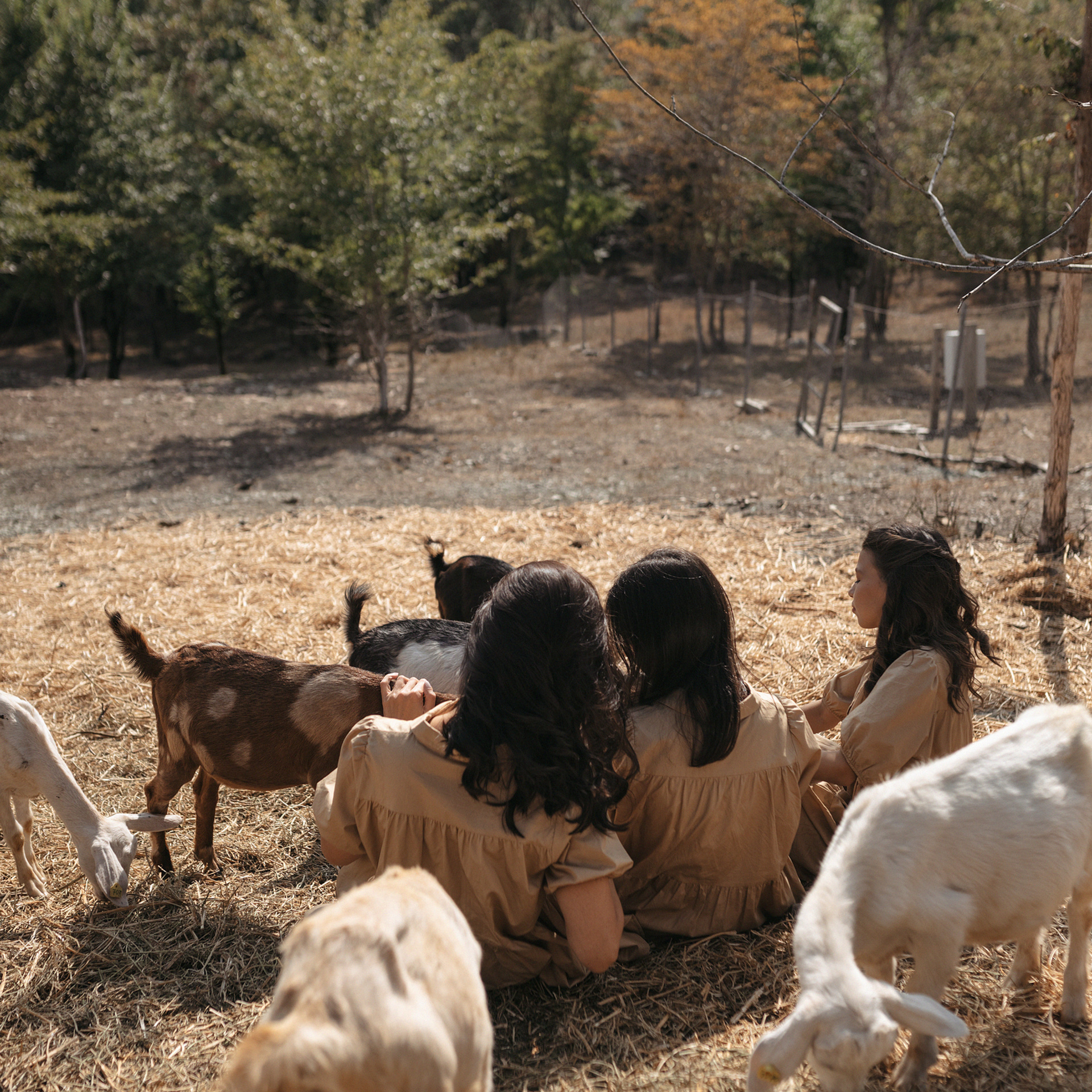Горная ферма Волино. Фотограф Мария Сваридзе