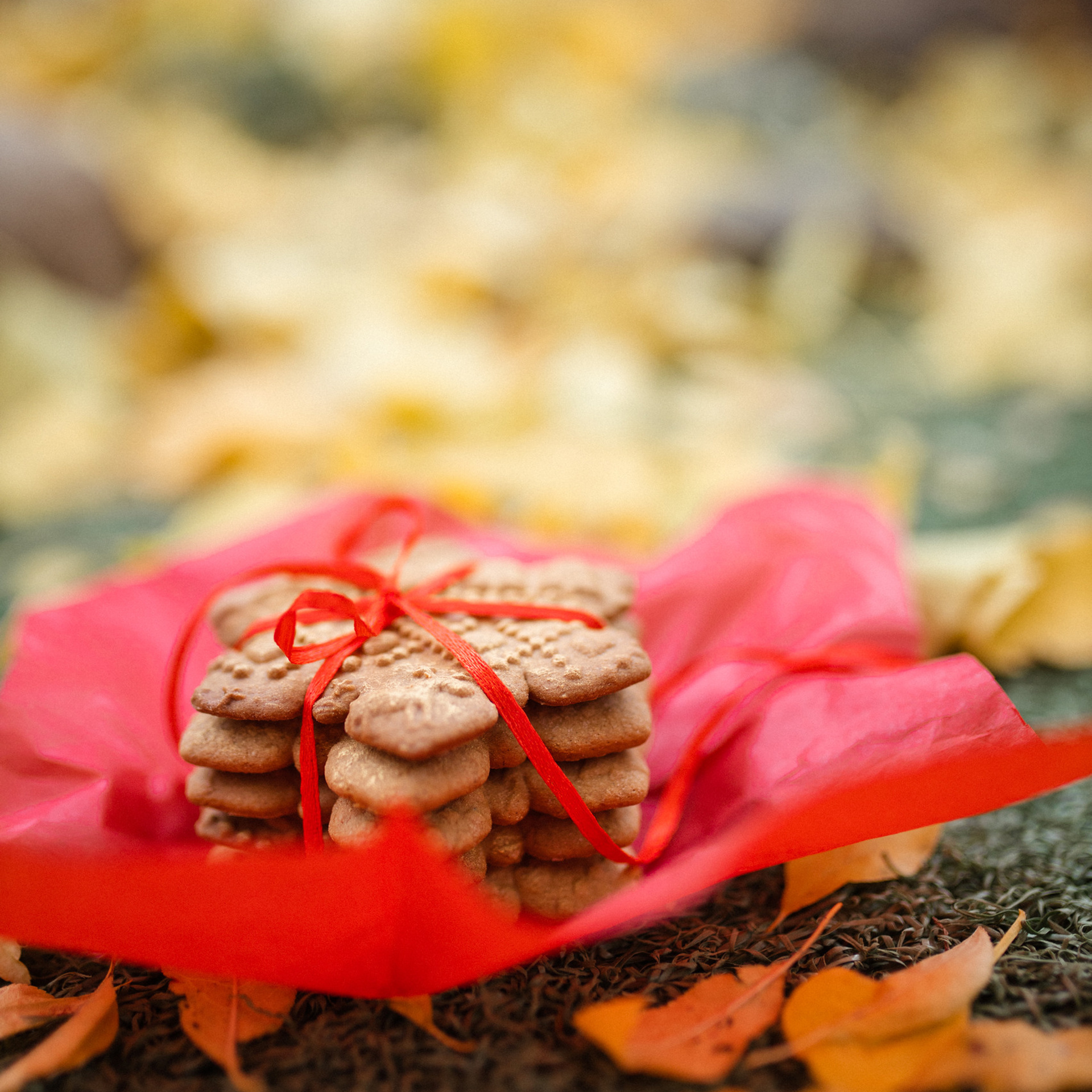 Пряничная жизнь. Фотограф Мария Сваридзе