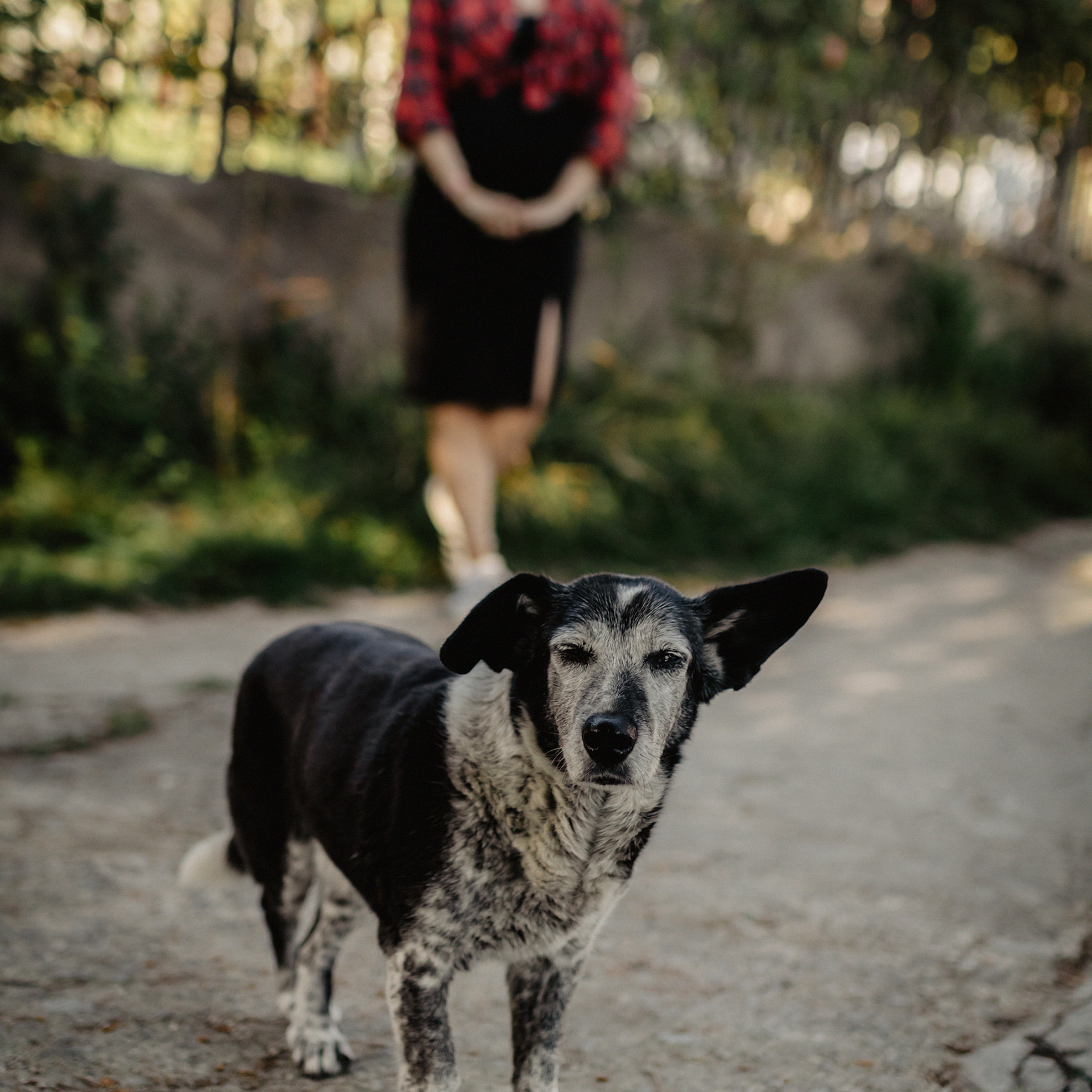 В ожидании Романа. Фотограф Мария Сваридзе