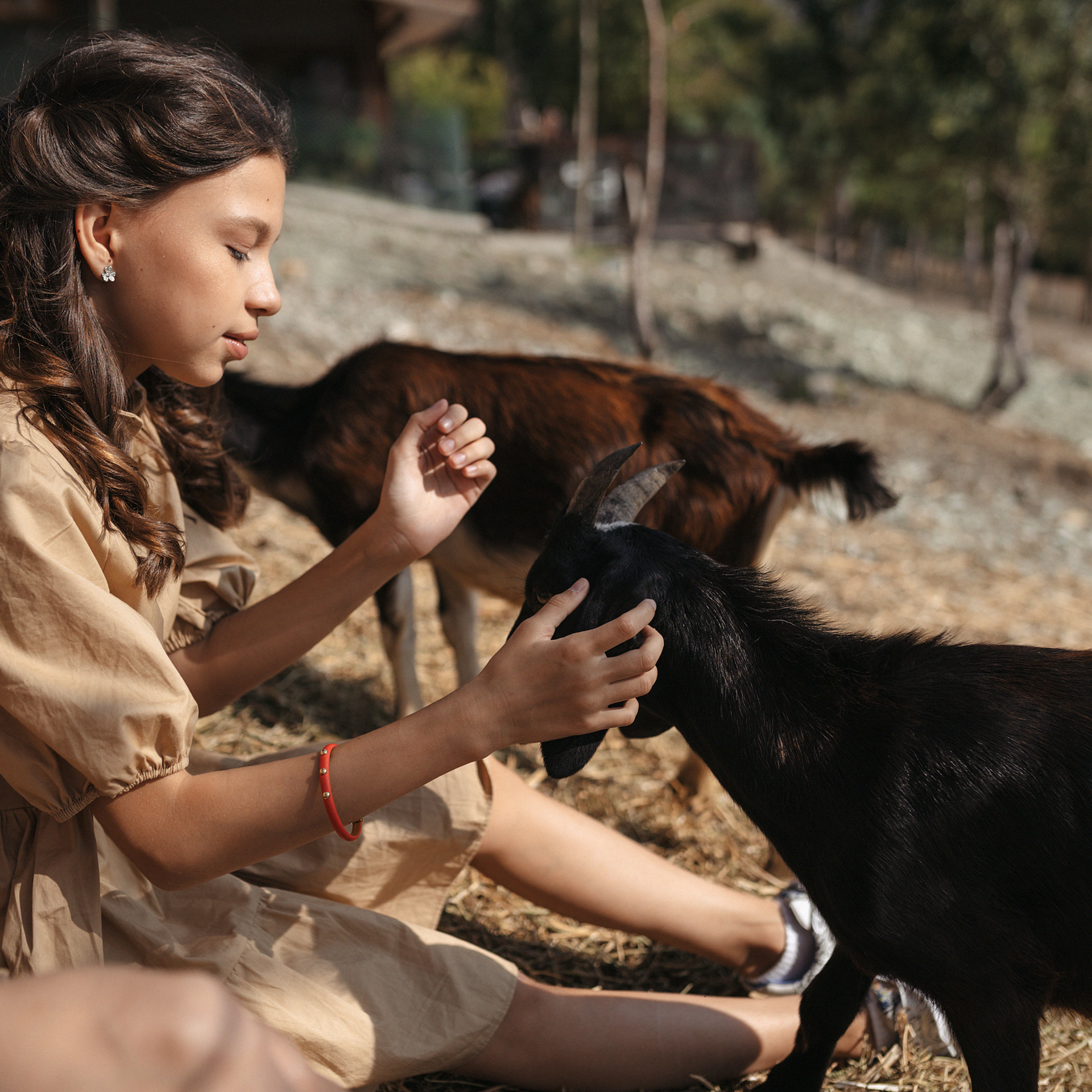 Горная ферма Волино. Фотограф Мария Сваридзе
