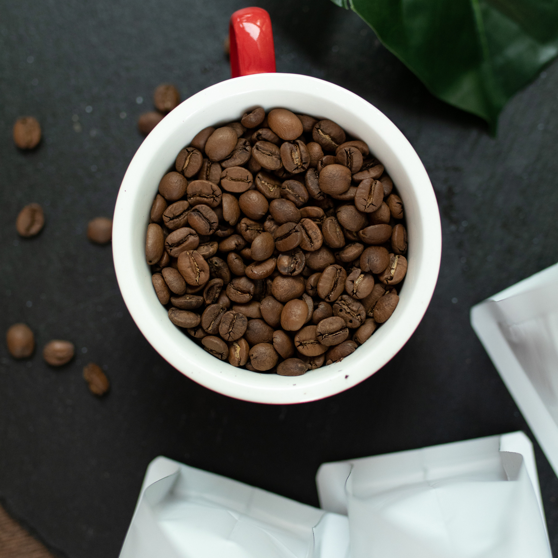 Hollywood.coffee. Фотограф Мария Сваридзе