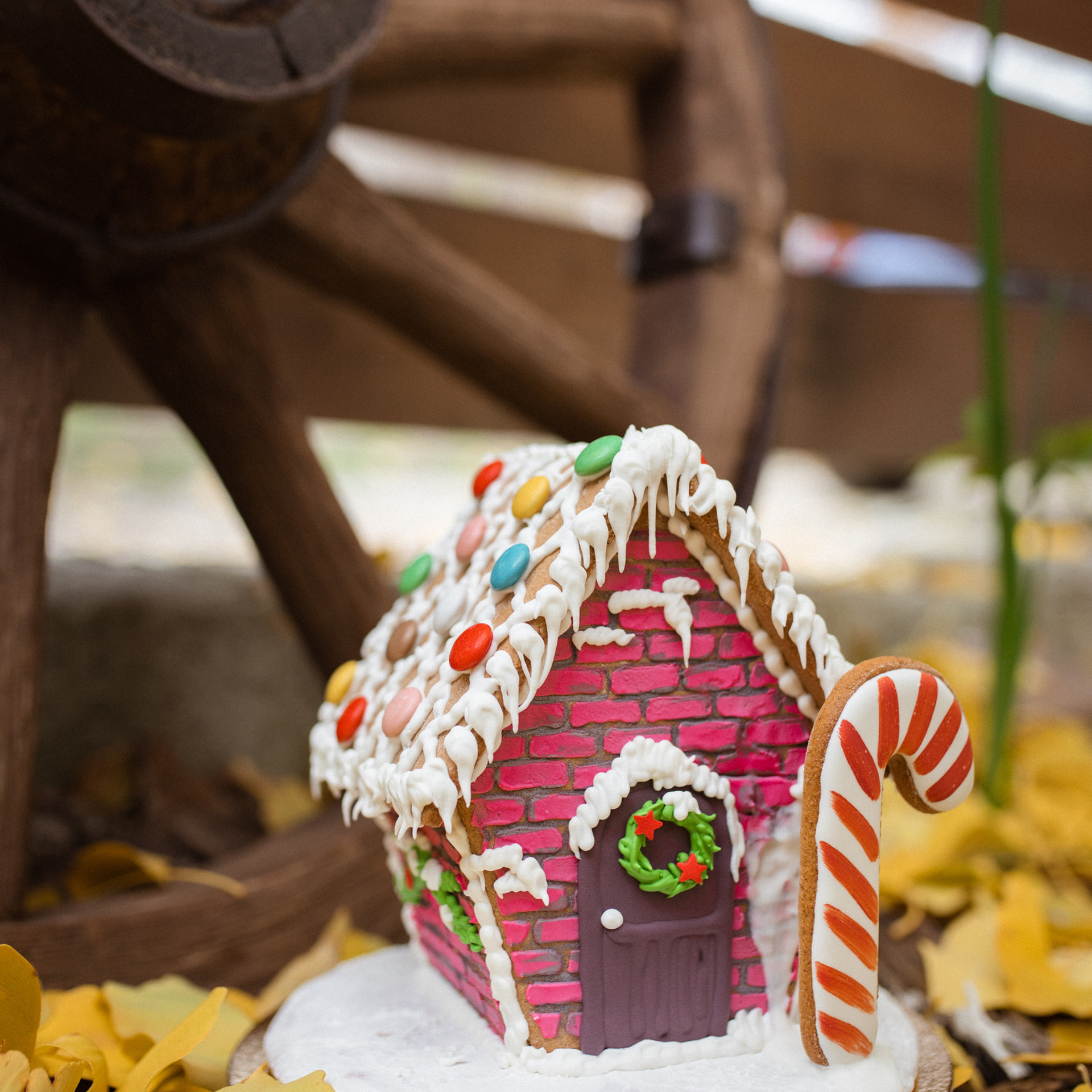 Пряничная жизнь. Фотограф Мария Сваридзе