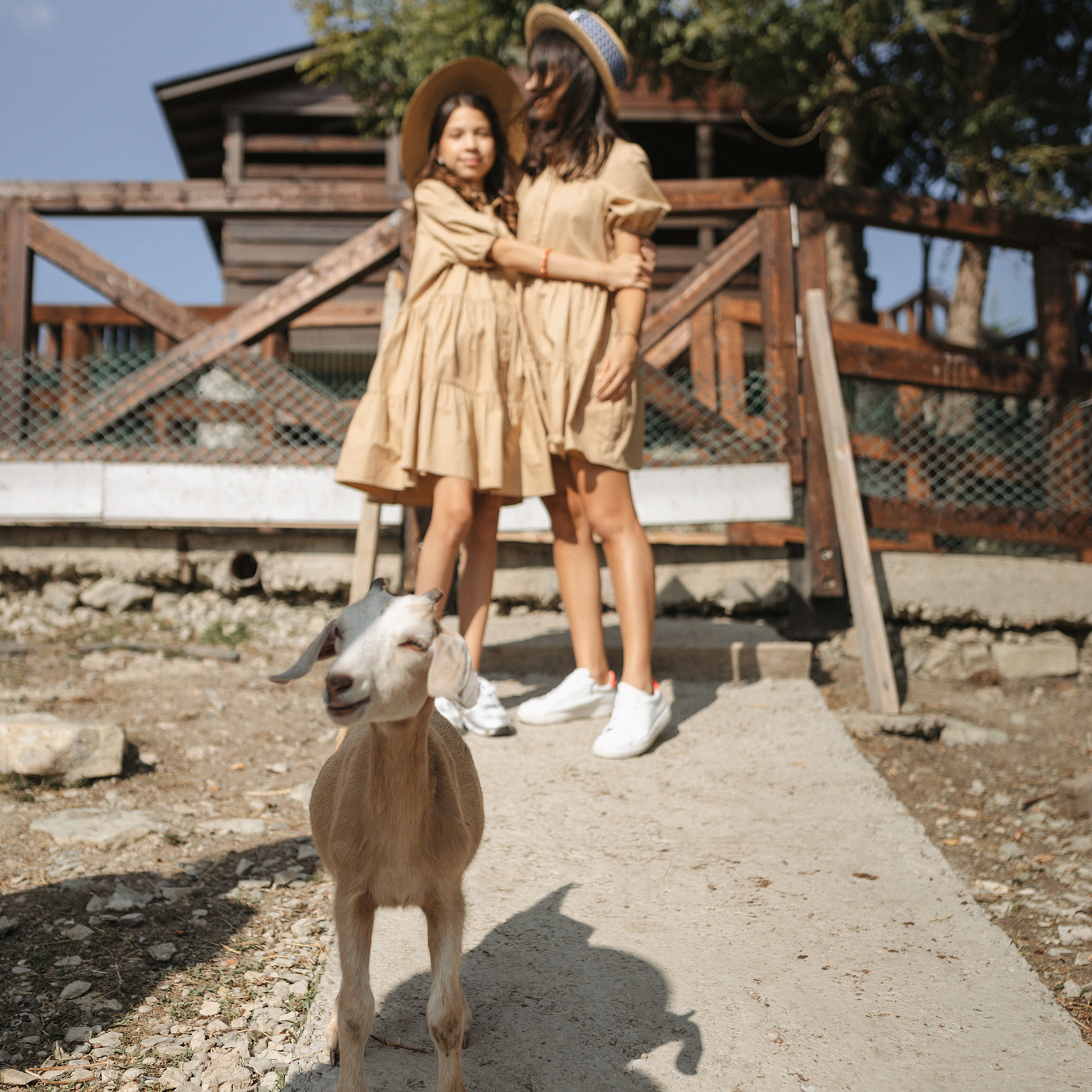 Горная ферма Волино. Фотограф Мария Сваридзе