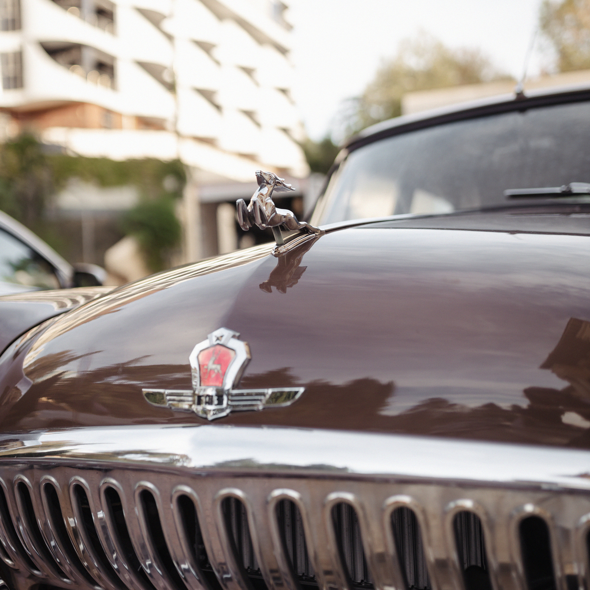 Марина. Фотограф Мария Сваридзе