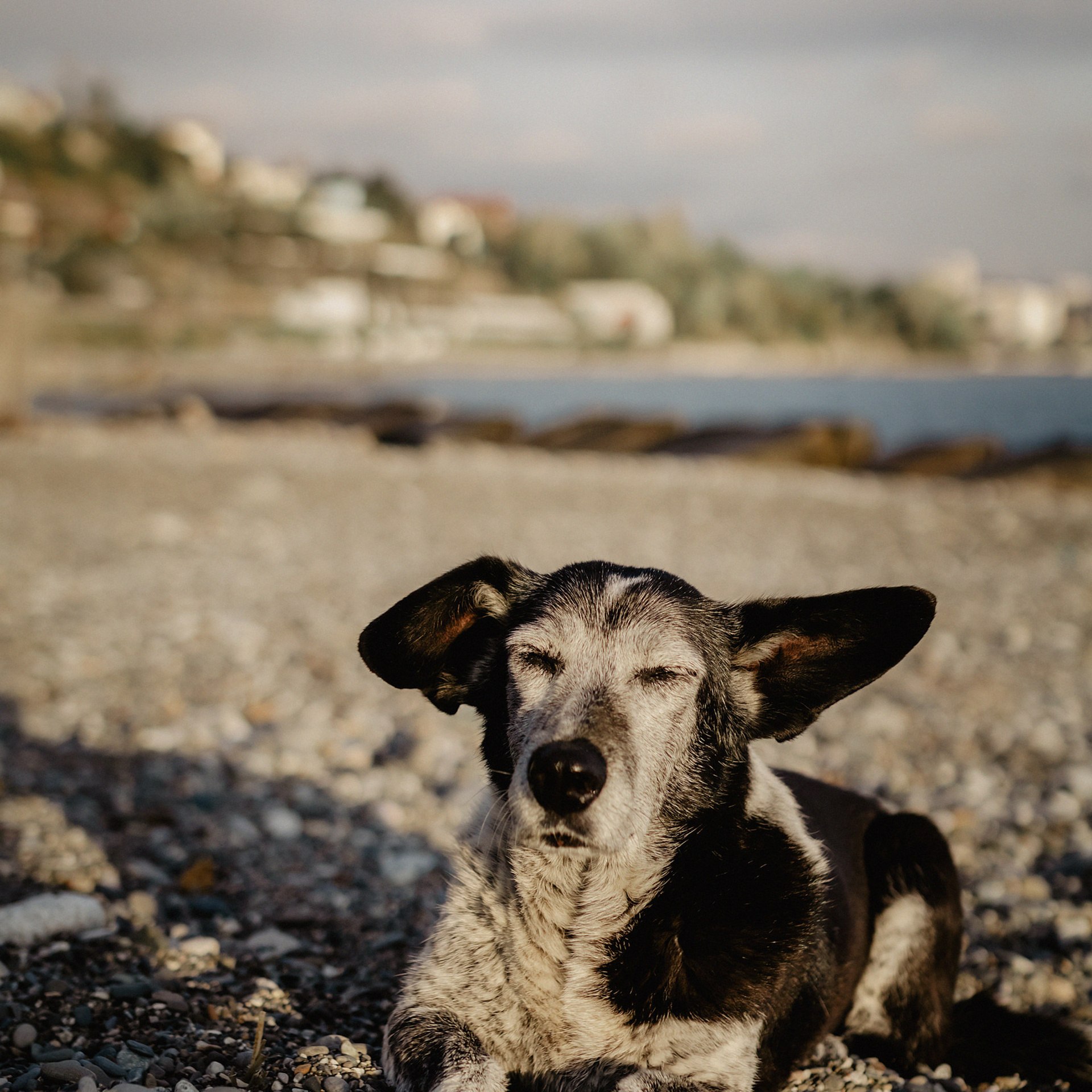 В ожидании Романа. Фотограф Мария Сваридзе