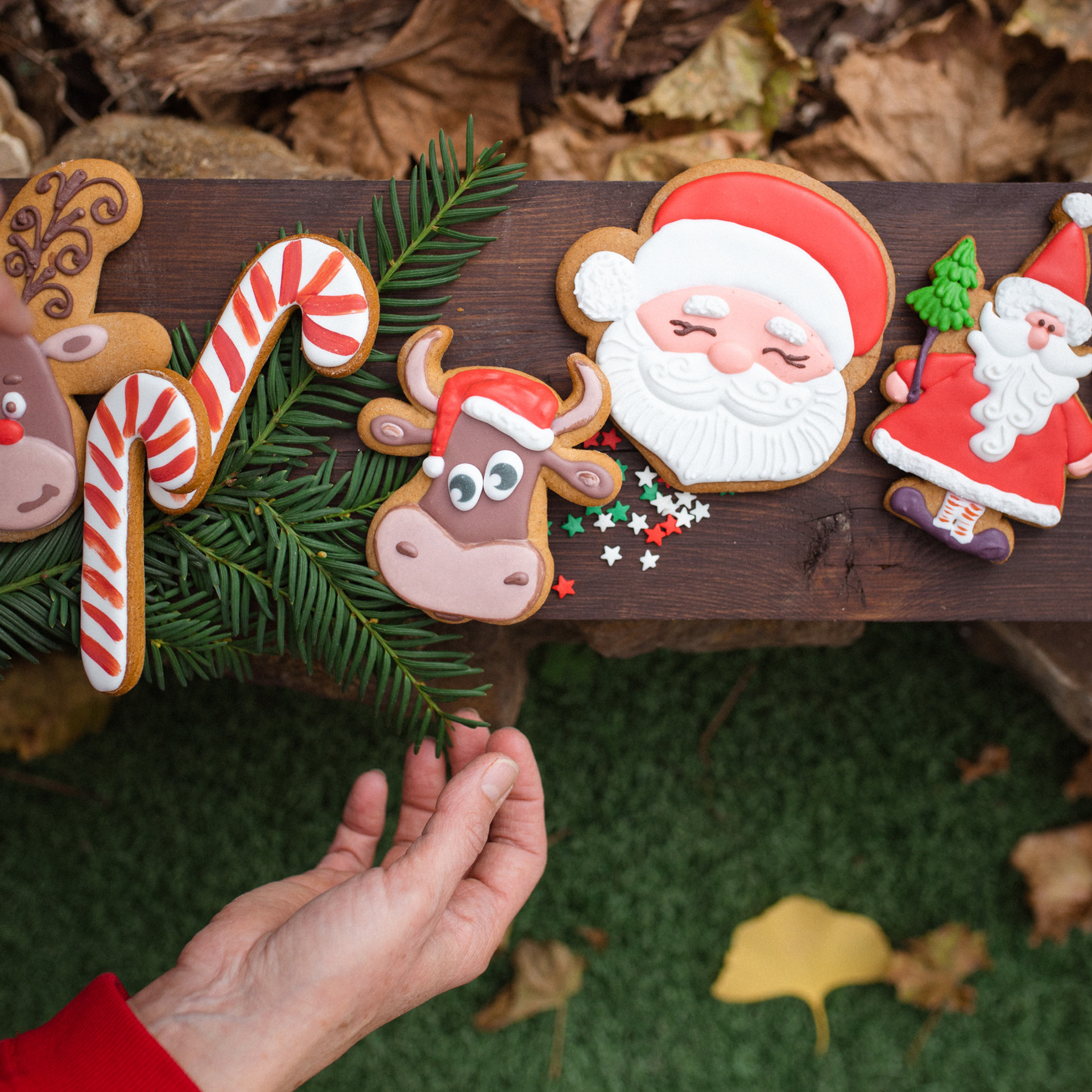 Пряничная жизнь. Фотограф Мария Сваридзе